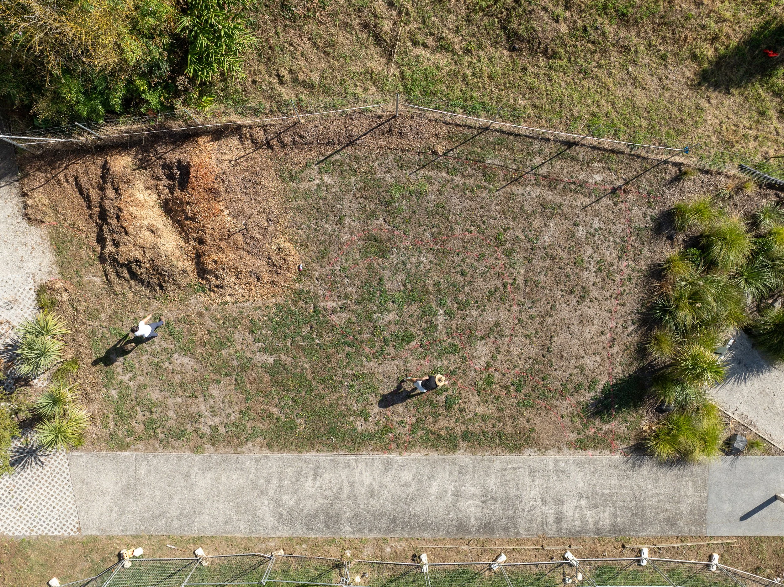 Holli McEntegart Garden_Drone_Day 1-20.jpg