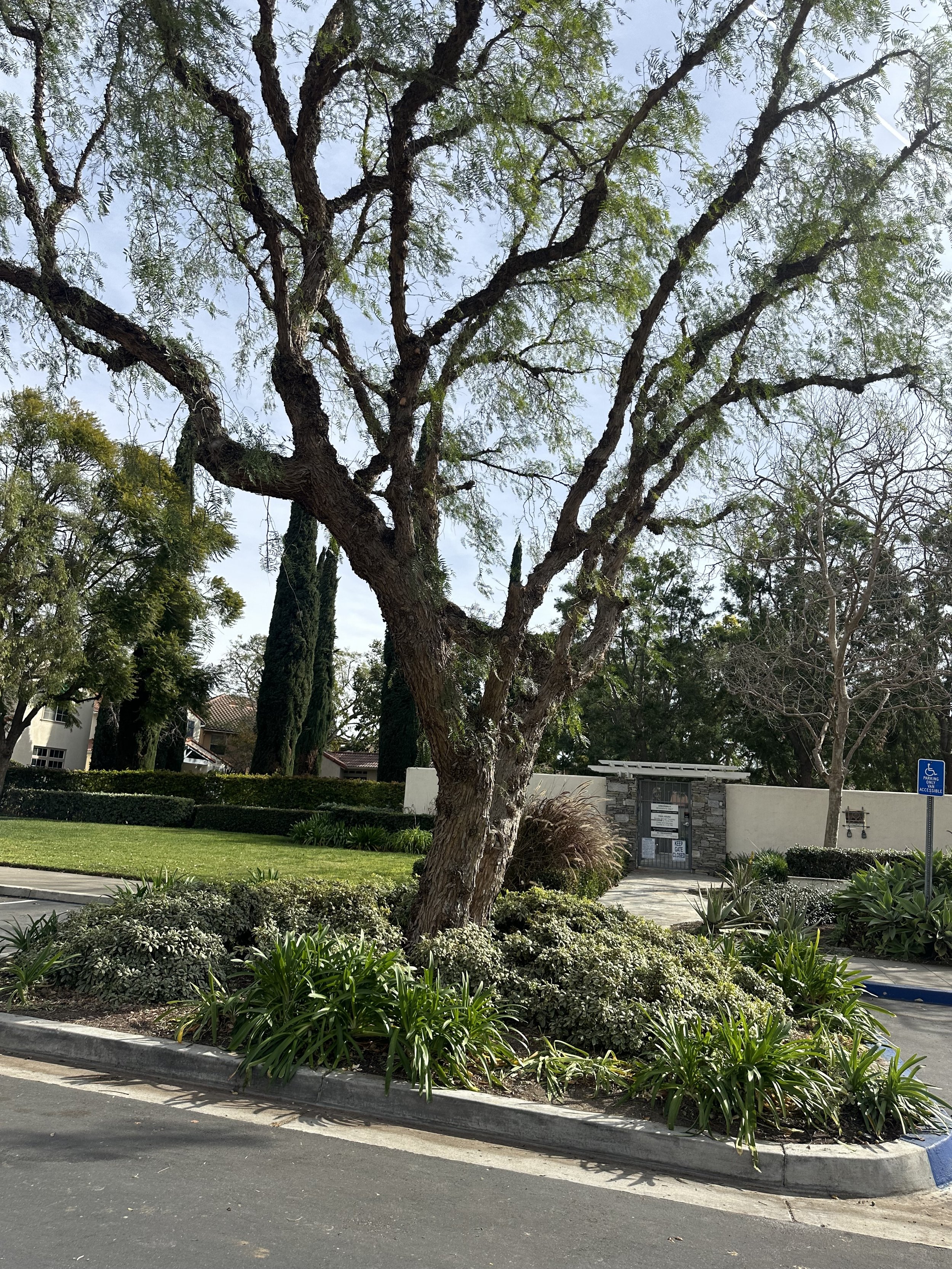 San Marcos