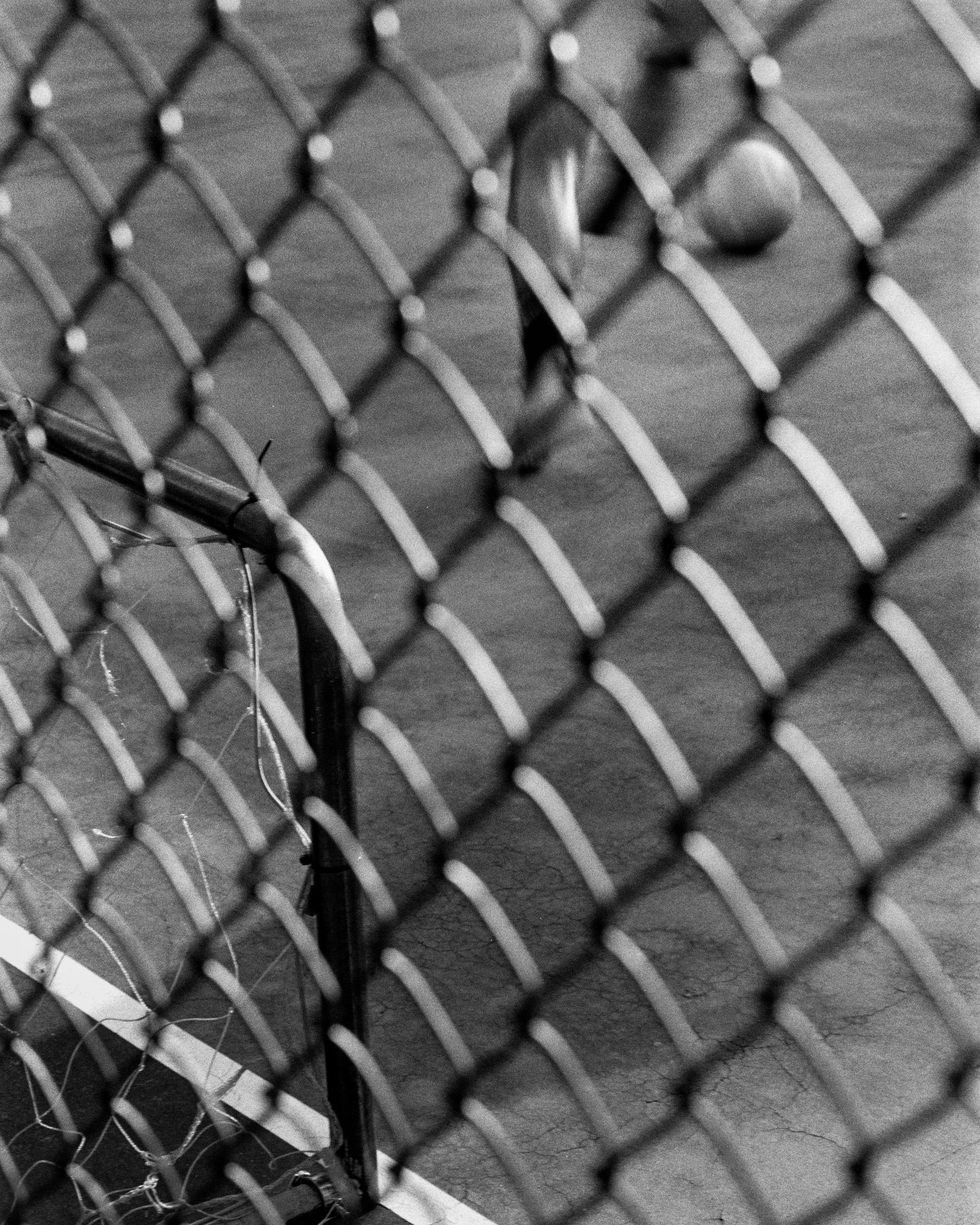 2026.04_04_Canon1v_HP5400_Guerrilla FC x AMICA Center_04-4.jpg