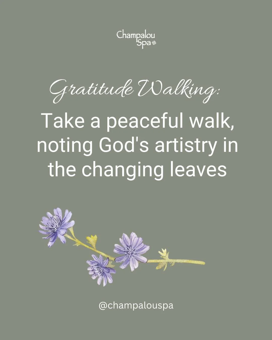 Monday Gratitude Walk

&quot;I will meditate on your wonderful works.&quot; - Psalm 145:5

Take a sacred pause today:
&bull; Step outside in God's creation
&bull; Notice the changing colors
&bull; Feel the crisp autumn air
&bull; Count your blessings