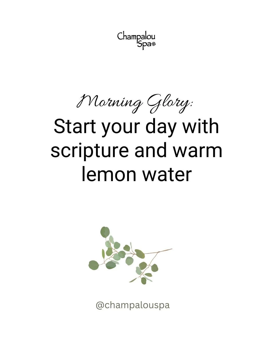 Monday Morning Glory

&quot;Early will I seek thee.&quot; - Psalm 63:1

Start your week with intention and divine connection:
&bull; Pour warm lemon water to awaken your system
&bull; Open your Bible before opening social media
&bull; Light a gentle 