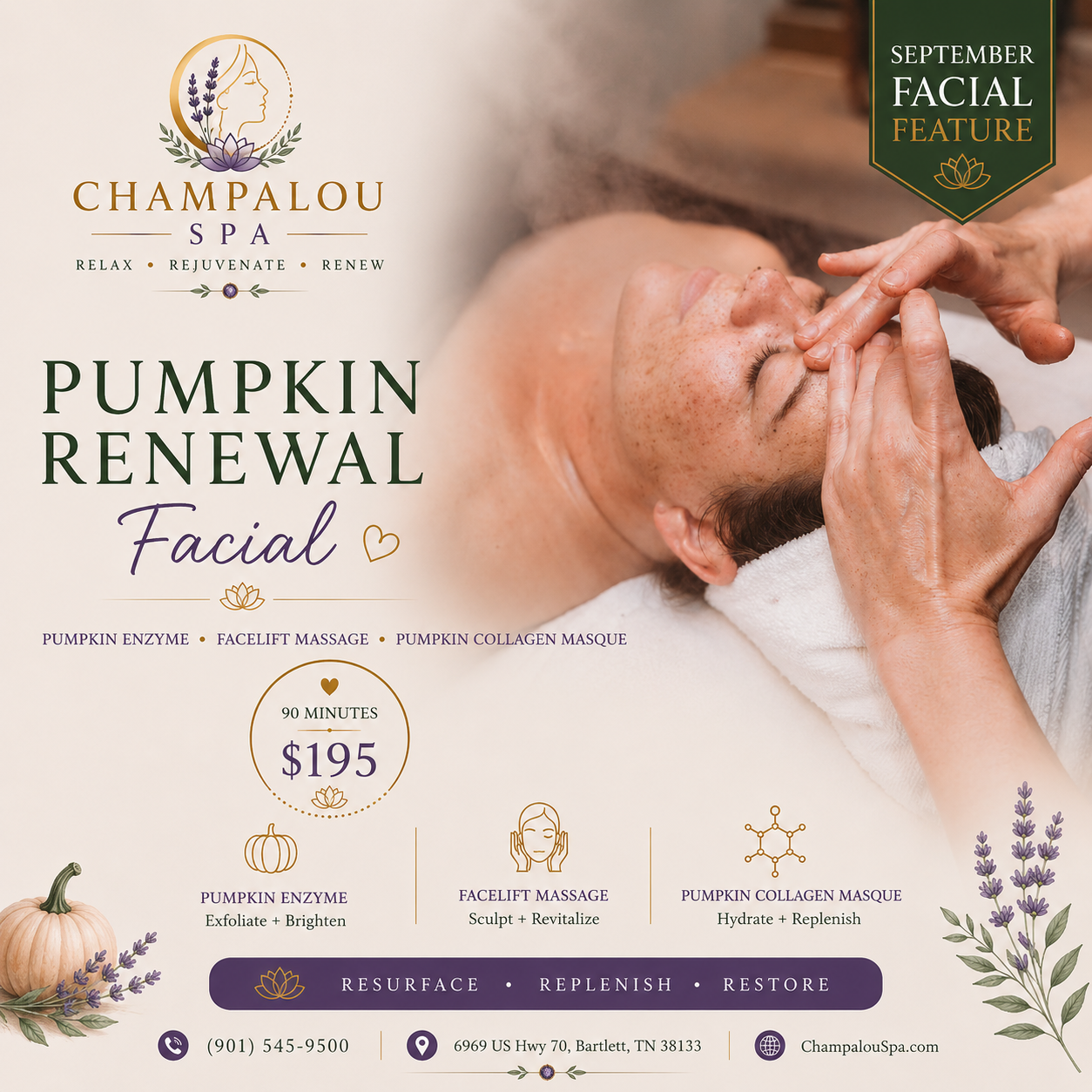 Embrace the season with a restorative ritual featuring a pumpkin enzyme treatment, sculpting facelift massage, and nourishing pumpkin collagen masque. Designed to gently resurface, replenish hydration, and reveal a smoother, brighter, beautifully ren