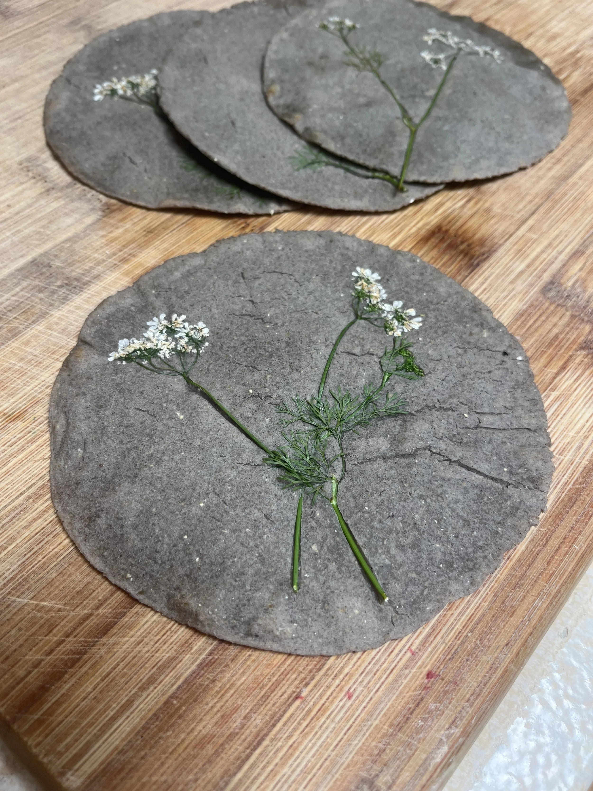 cilantro flowers pressed into blue corn tortilla, cooked