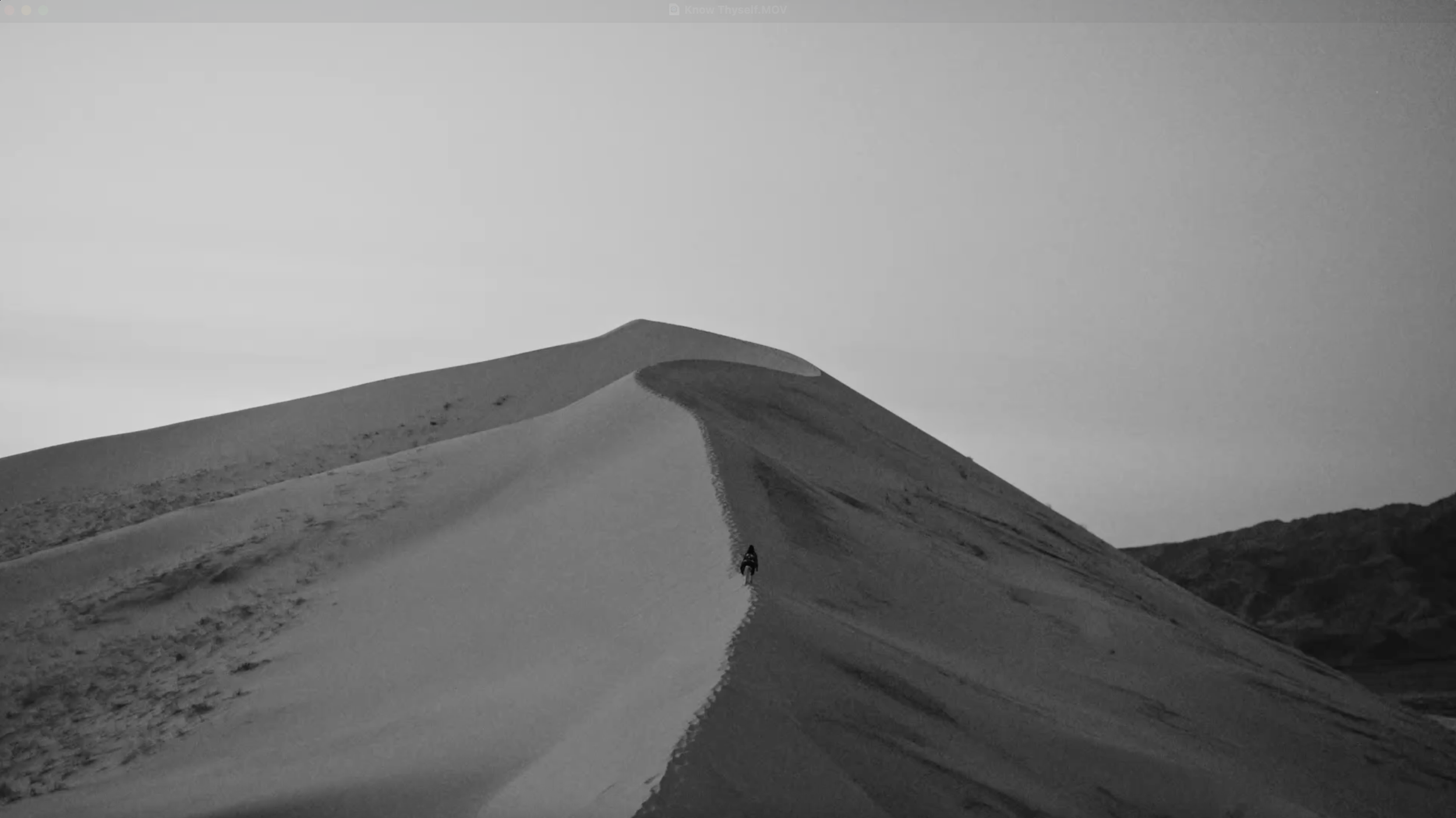 Screenshot 2025-07-24 at 8.58.37 AM.png