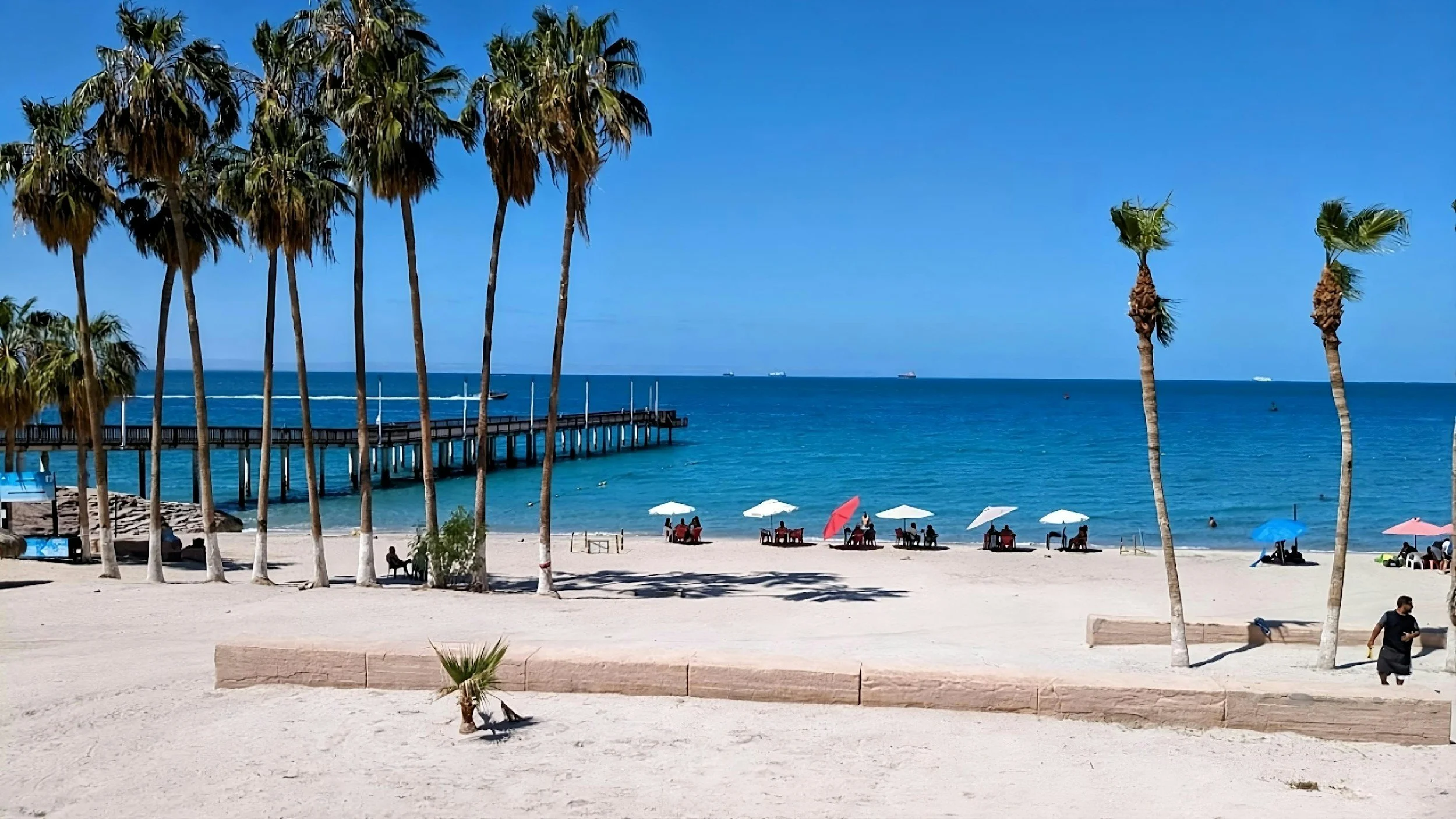 Top 10 Actividades Acuáticas en La Paz: ¡Tu Guía Completa del Mar de Cortés! 🐠🐬💦