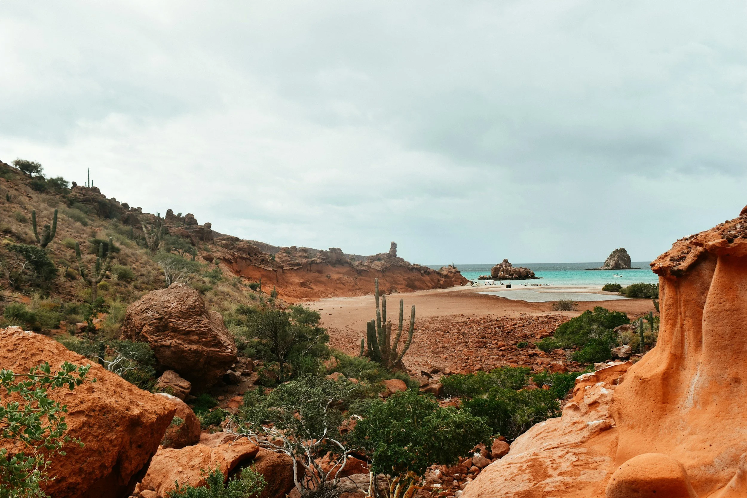 Los Tesoros Escondidos de La Paz: ¡Playas que No Te Puedes Perder (Además de Balandra)! 🤫🏖️
