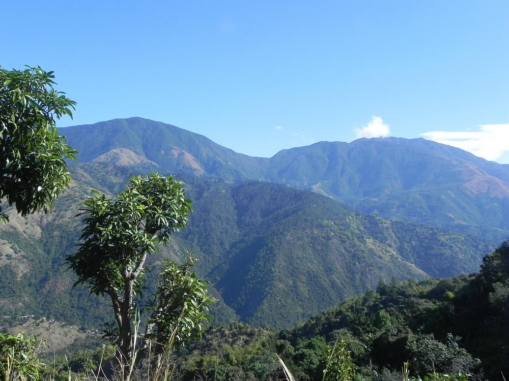 Blue Mountain Hiking Experience