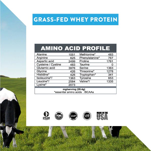 Protein_aminoacidprofile-image-for-website_2000x.jpeg