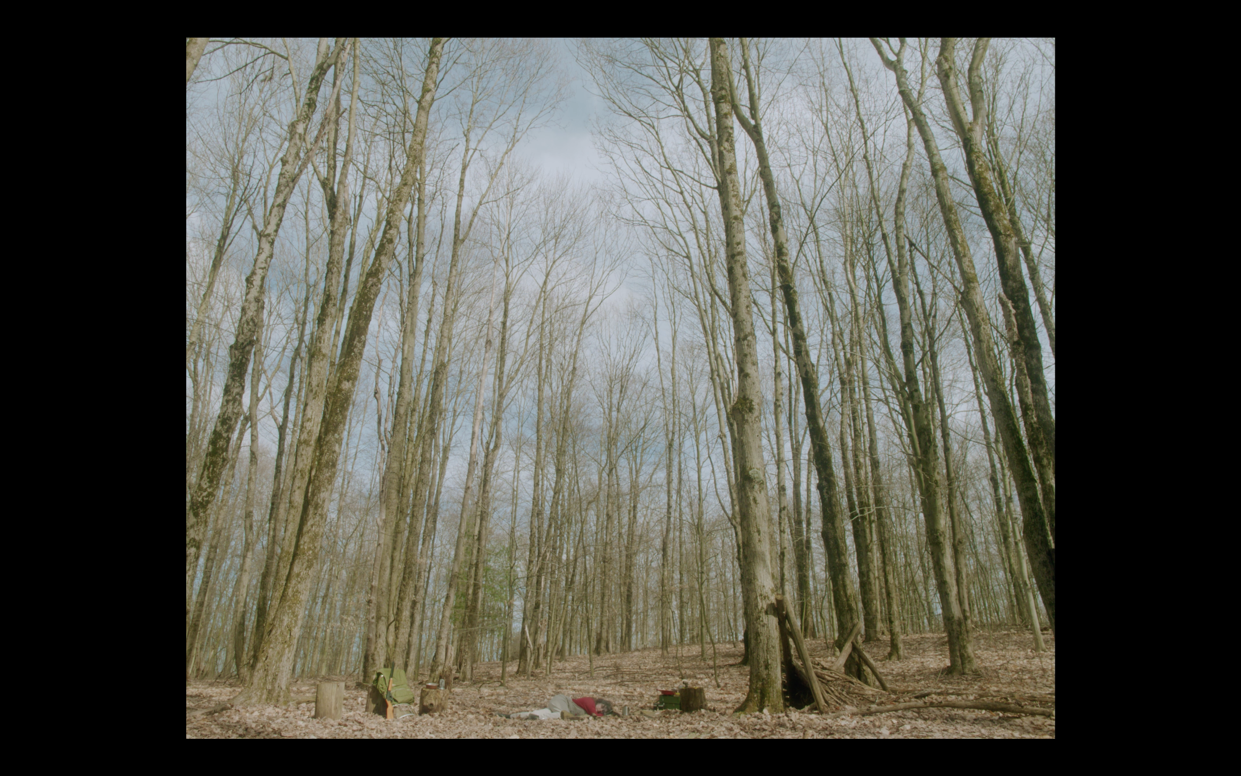 Screenshot 2024-12-09 at 9.41.33 AM.png