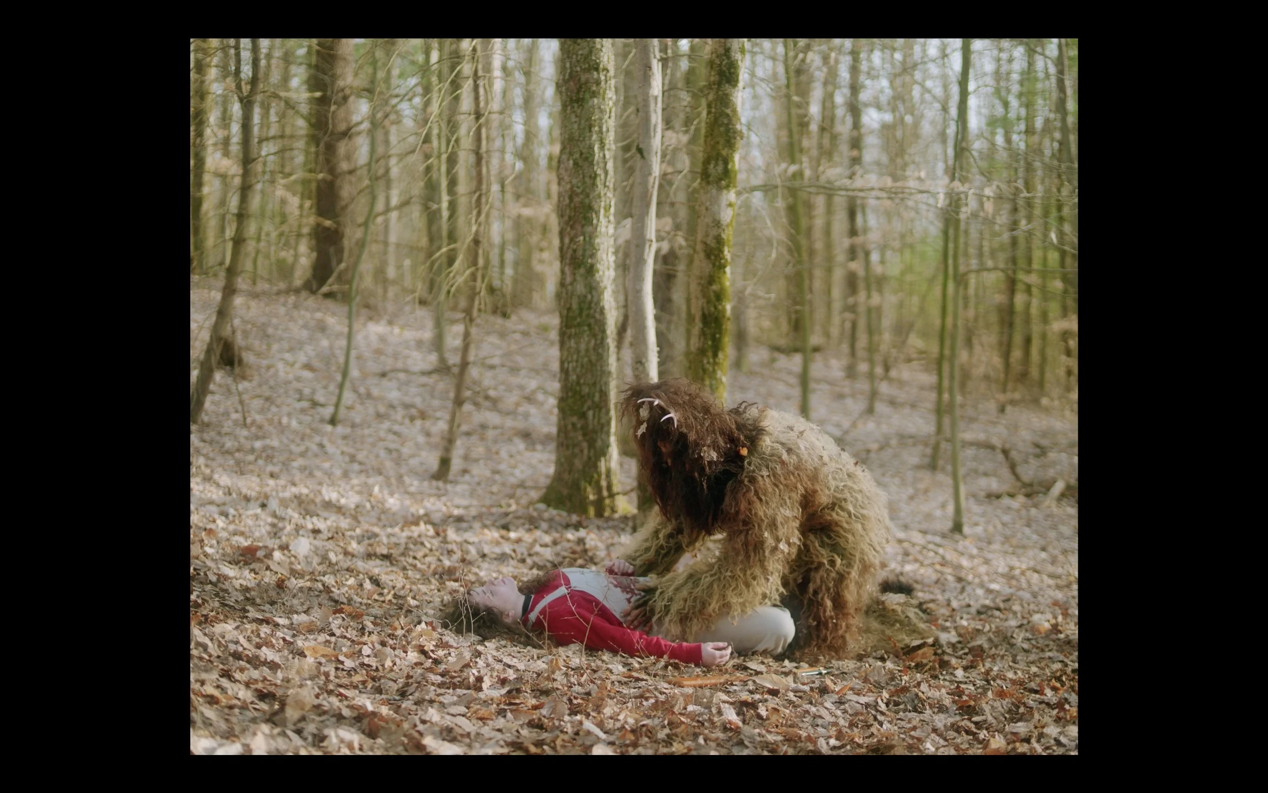 Screenshot 2024-12-09 at 9.44.20 AM.jpeg