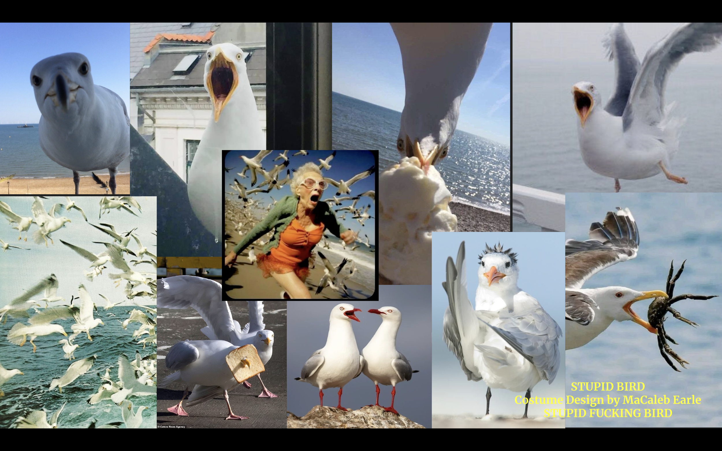 Screenshot 2024-12-10 at 6.59.41 AM.png