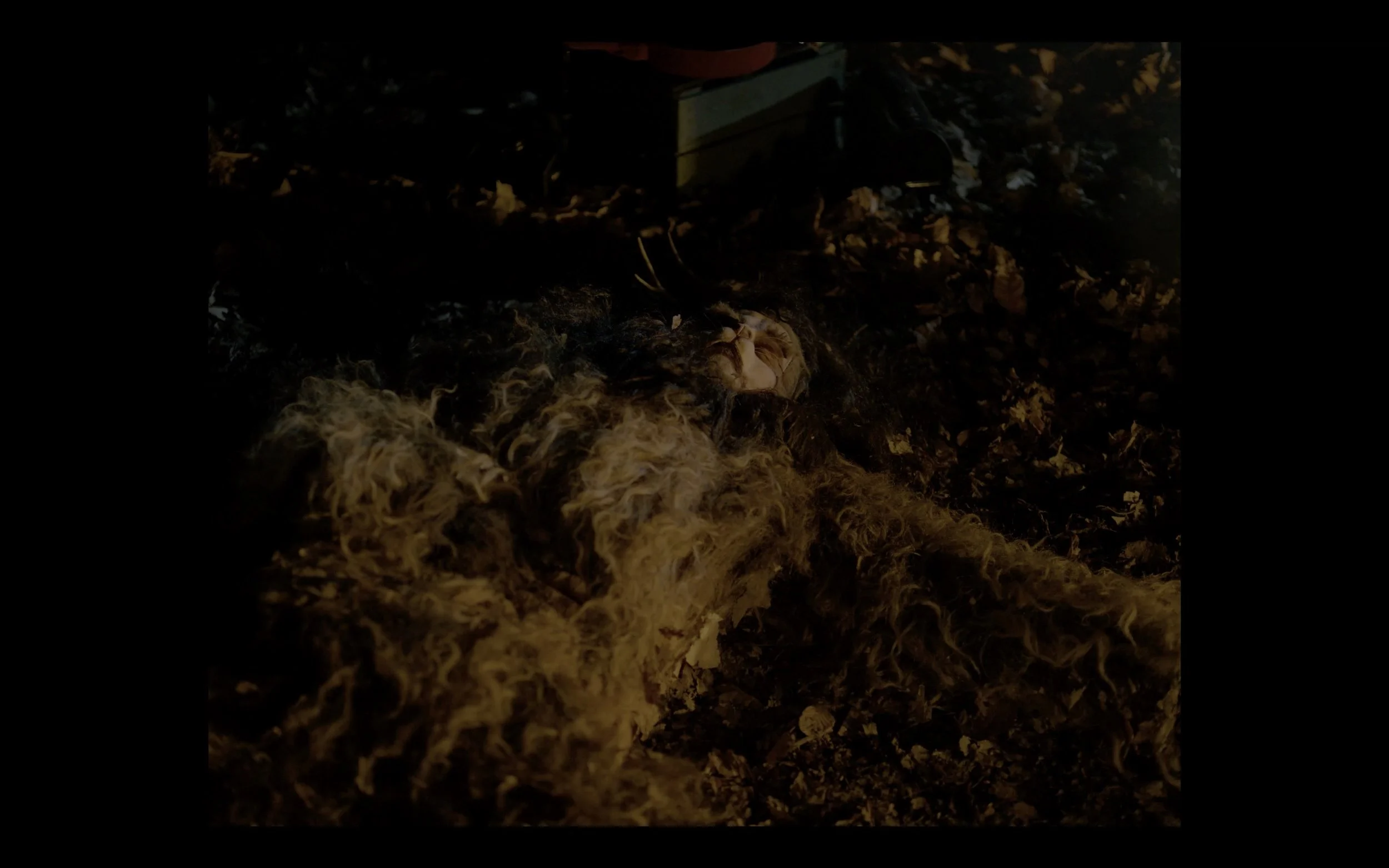 Screenshot 2024-12-09 at 9.39.35 AM.jpeg