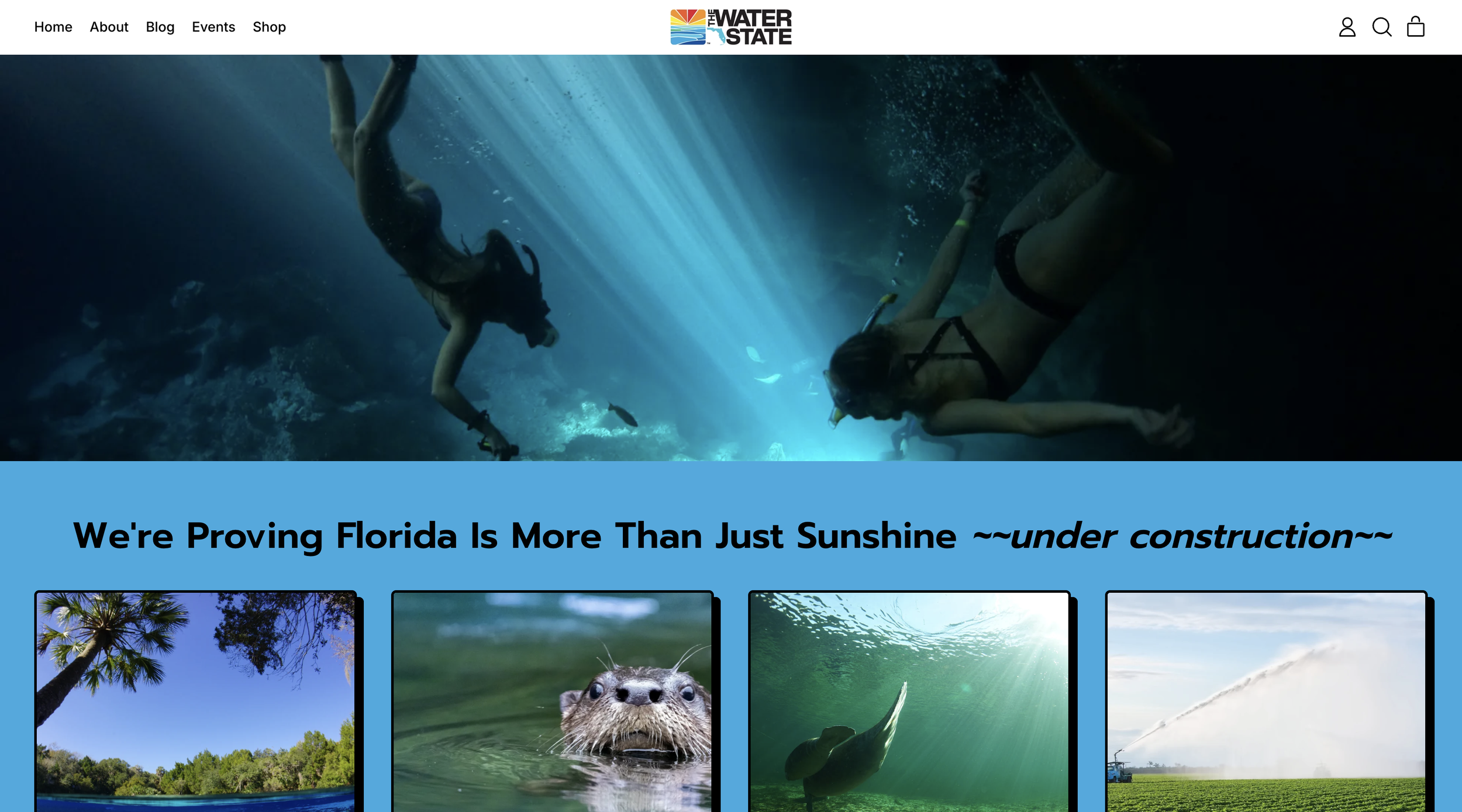 The Water State Website