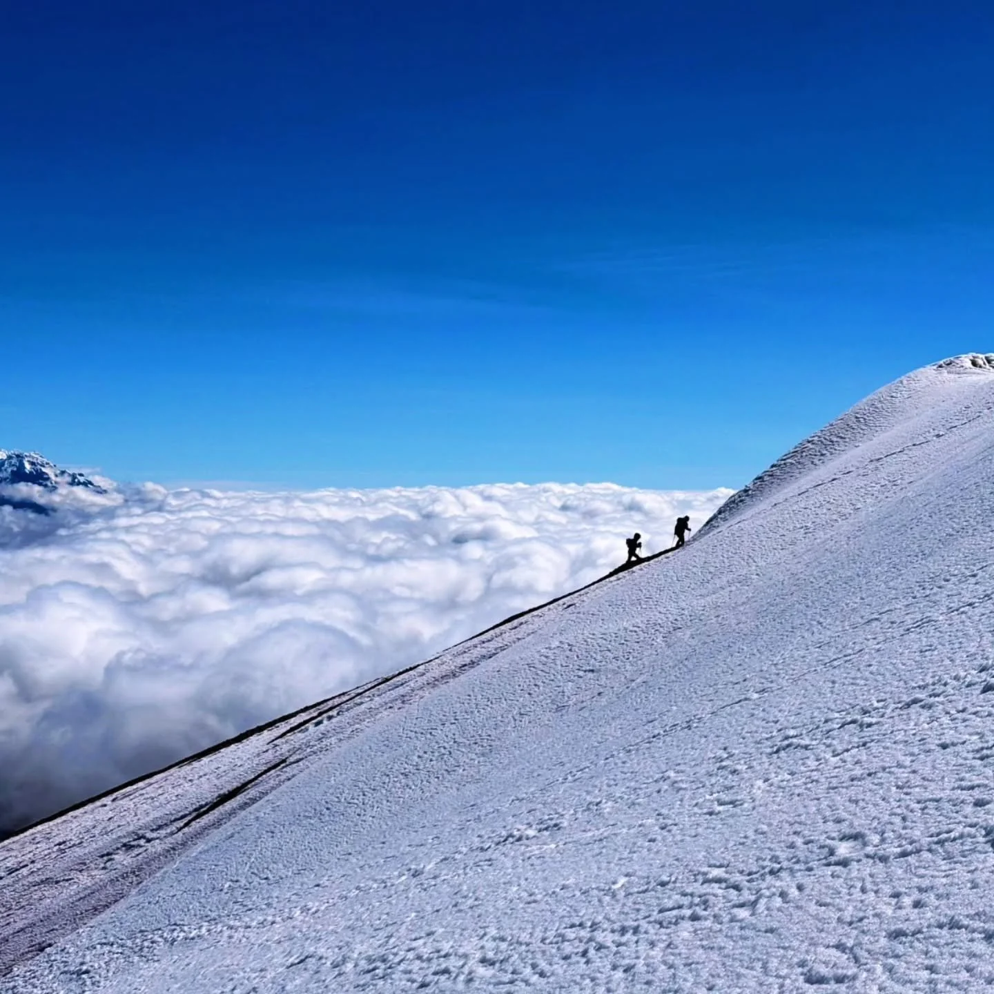 120 Days 'til #ProjectHimalaya #RunEverest Summit Window!

It's been a wonderful start to the year back home in Quito, Ecuador. I've been so glad to begin the year with lots of time outside, laughter and adventures with friends, and plenty of hard wo