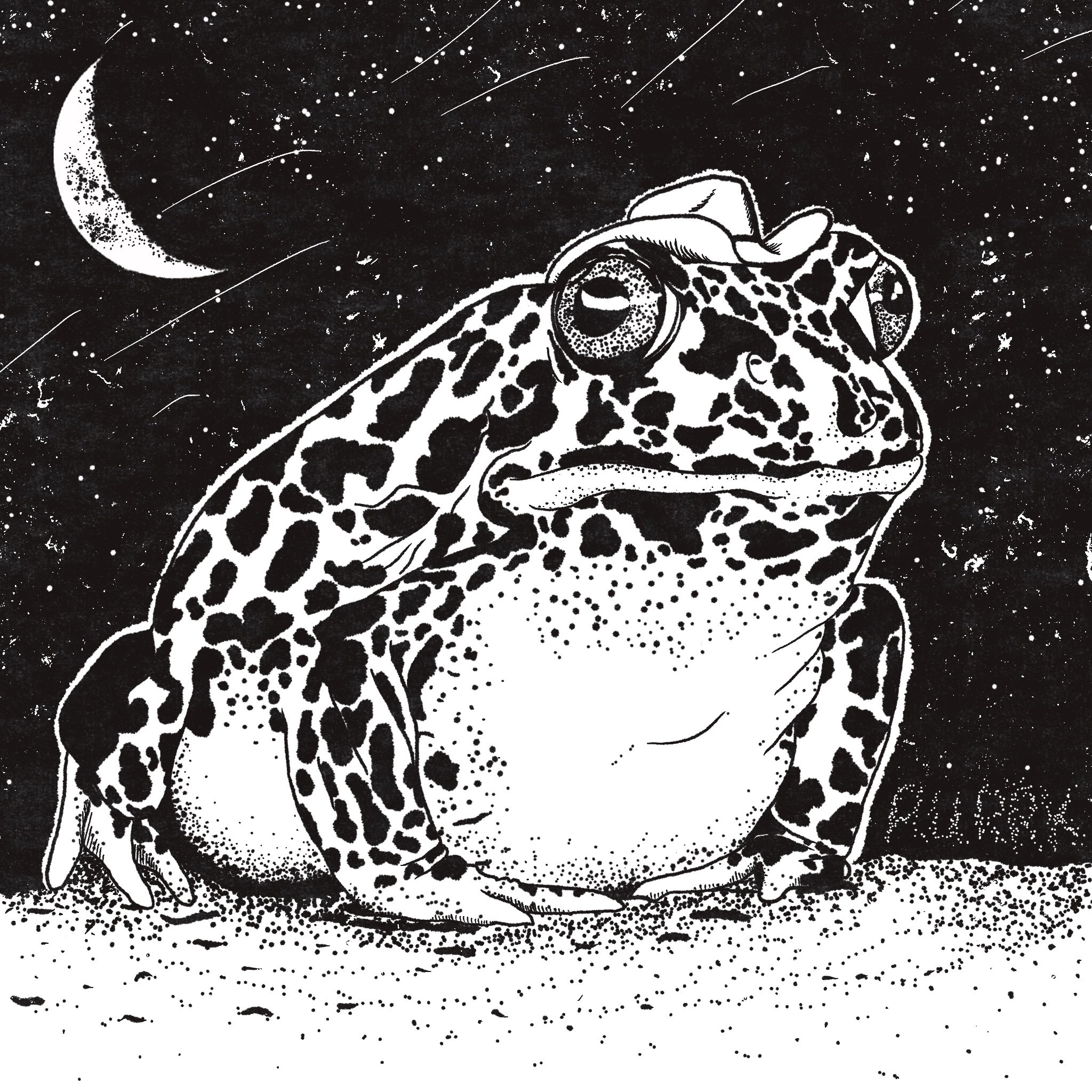 Cowboi Frog - PRINT