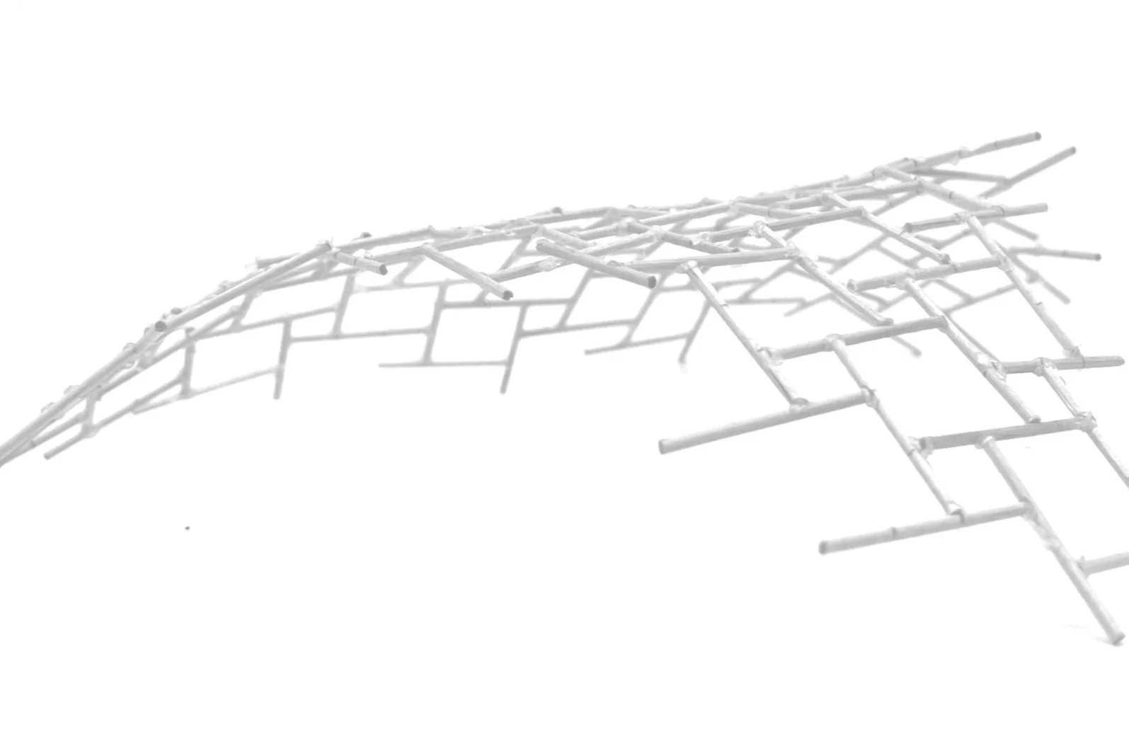 Screenshot%25252525252B2024-10-29%25252525252Bat%25252525252B4.52.44%25252525252BPM.jpg
