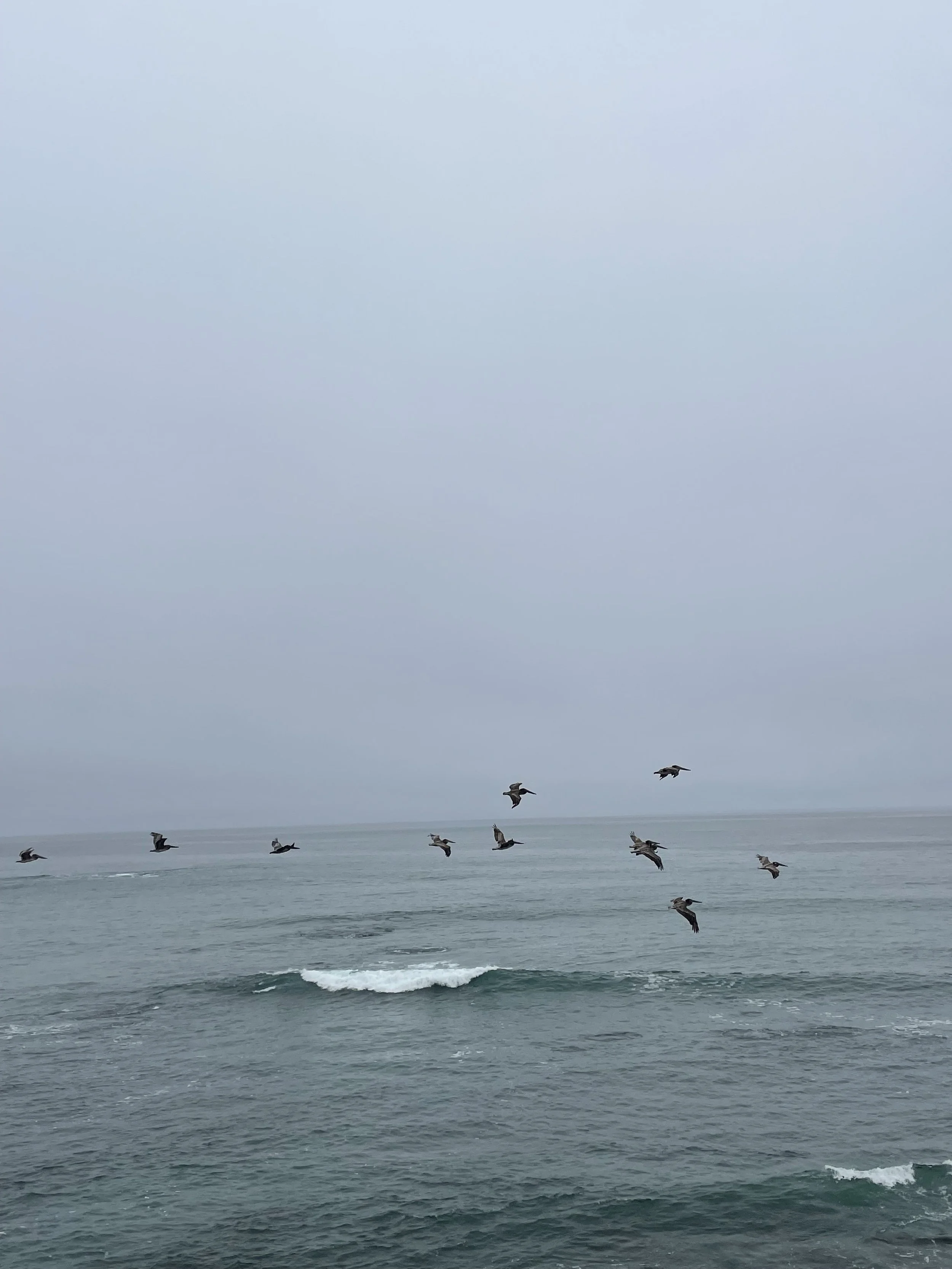 IMG_4704.jpeg