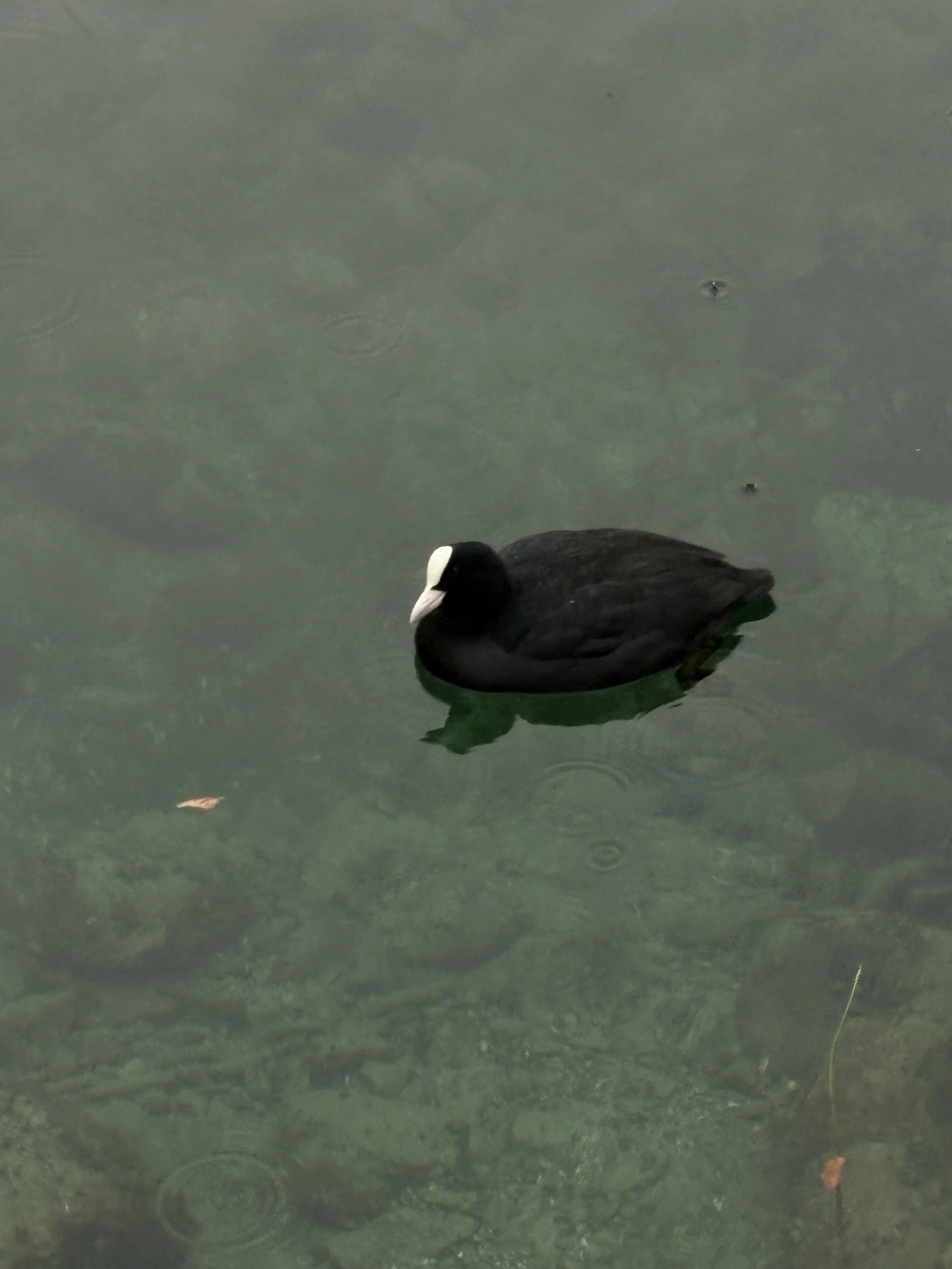 IMG_5553.jpeg