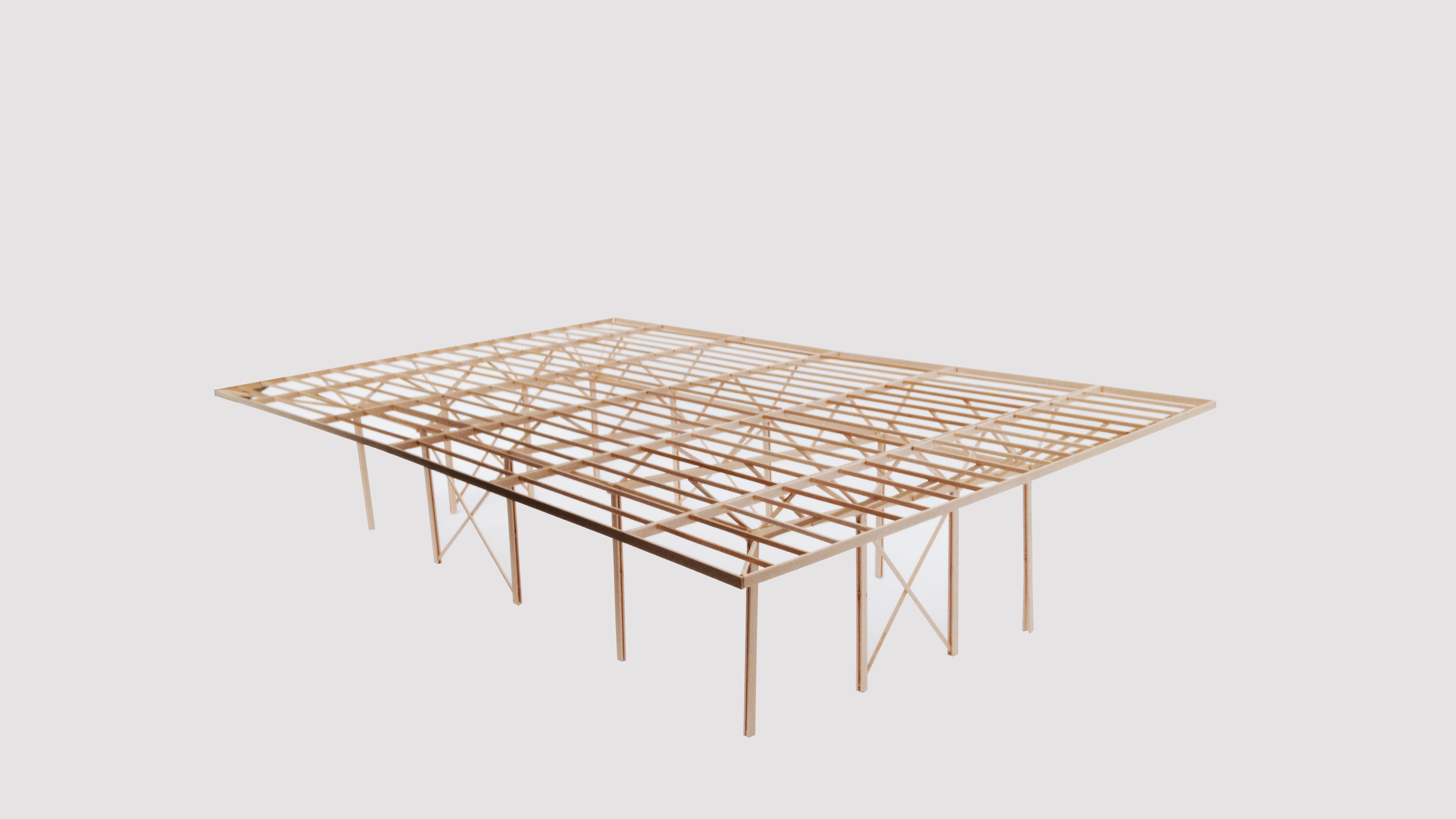 Tanzania Scaled Model.png