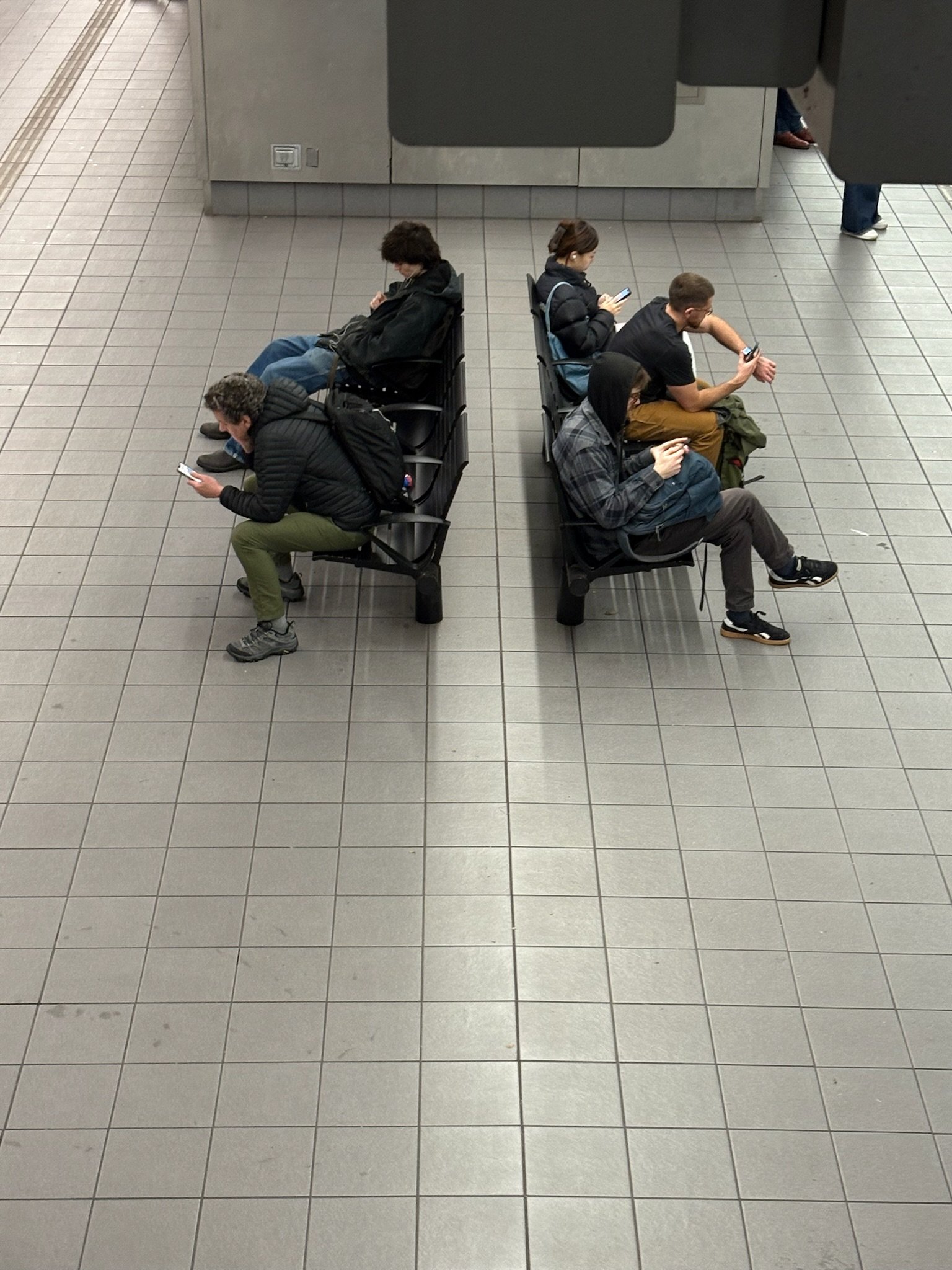 IMG_3920.jpeg