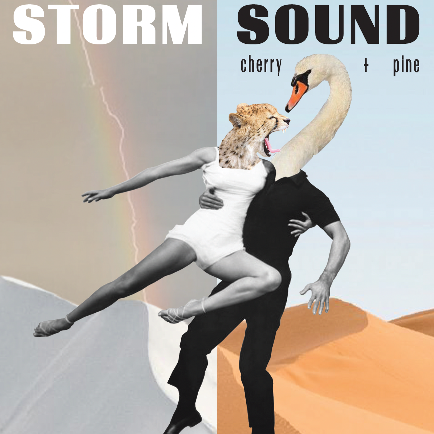 Storm Sound
