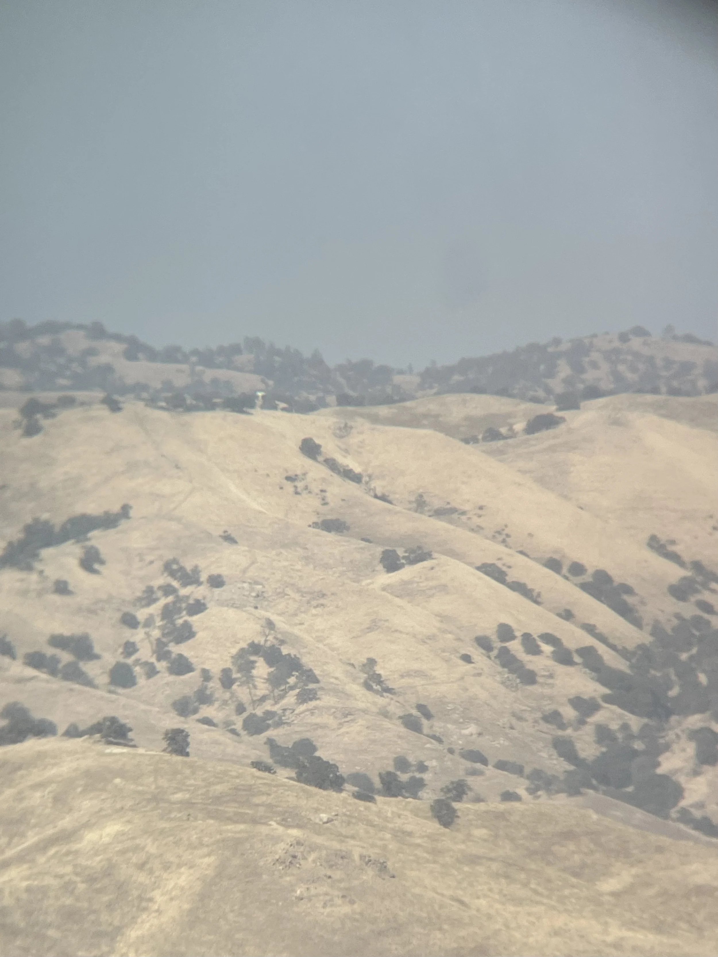 IMG_6771.jpeg