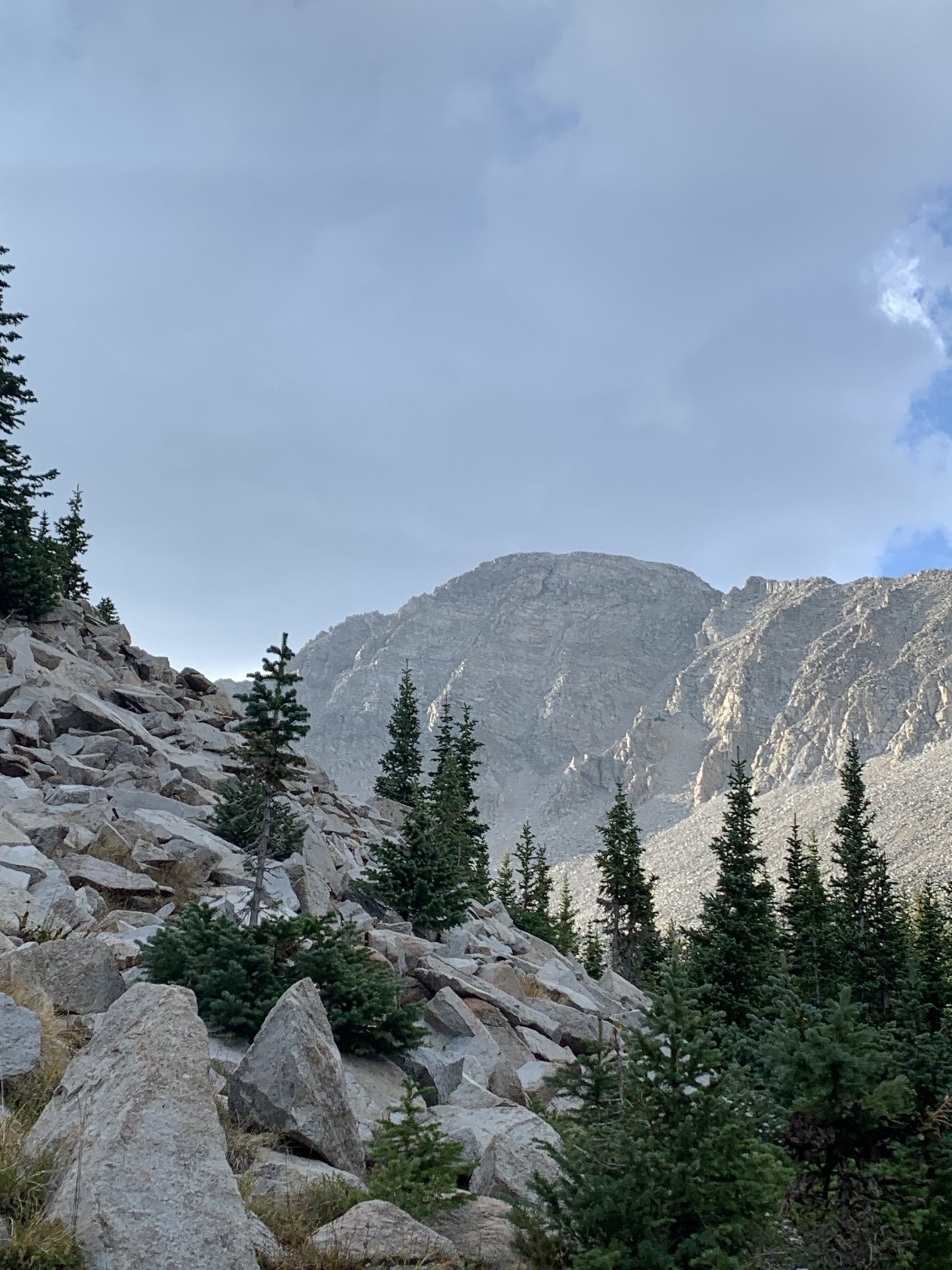 IMG_4435.jpeg