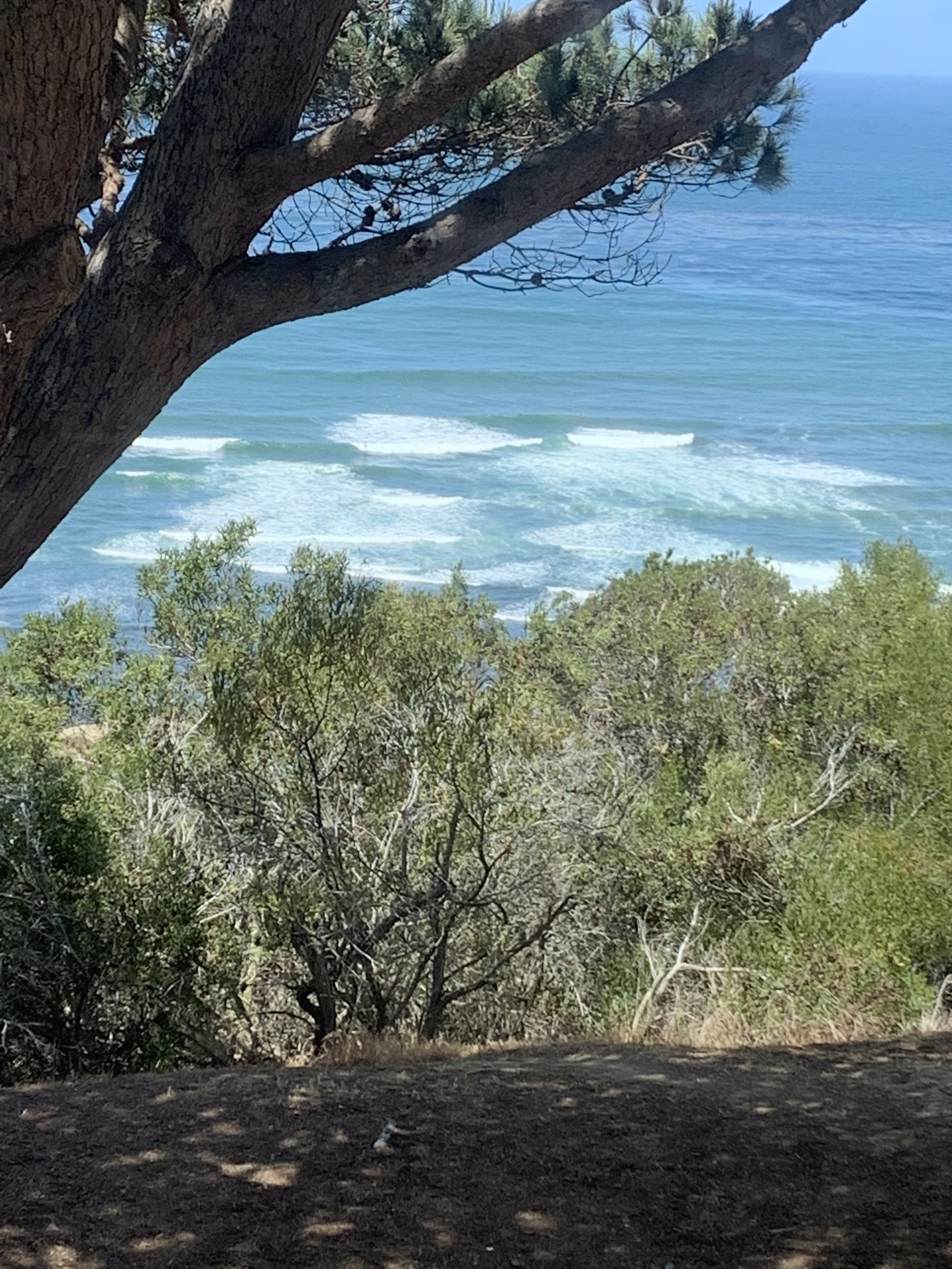 IMG_0483.jpeg