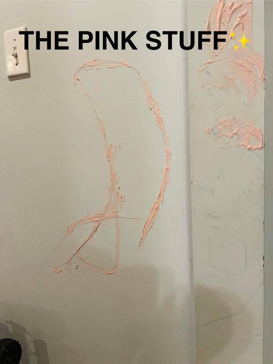 1000003964.jpg