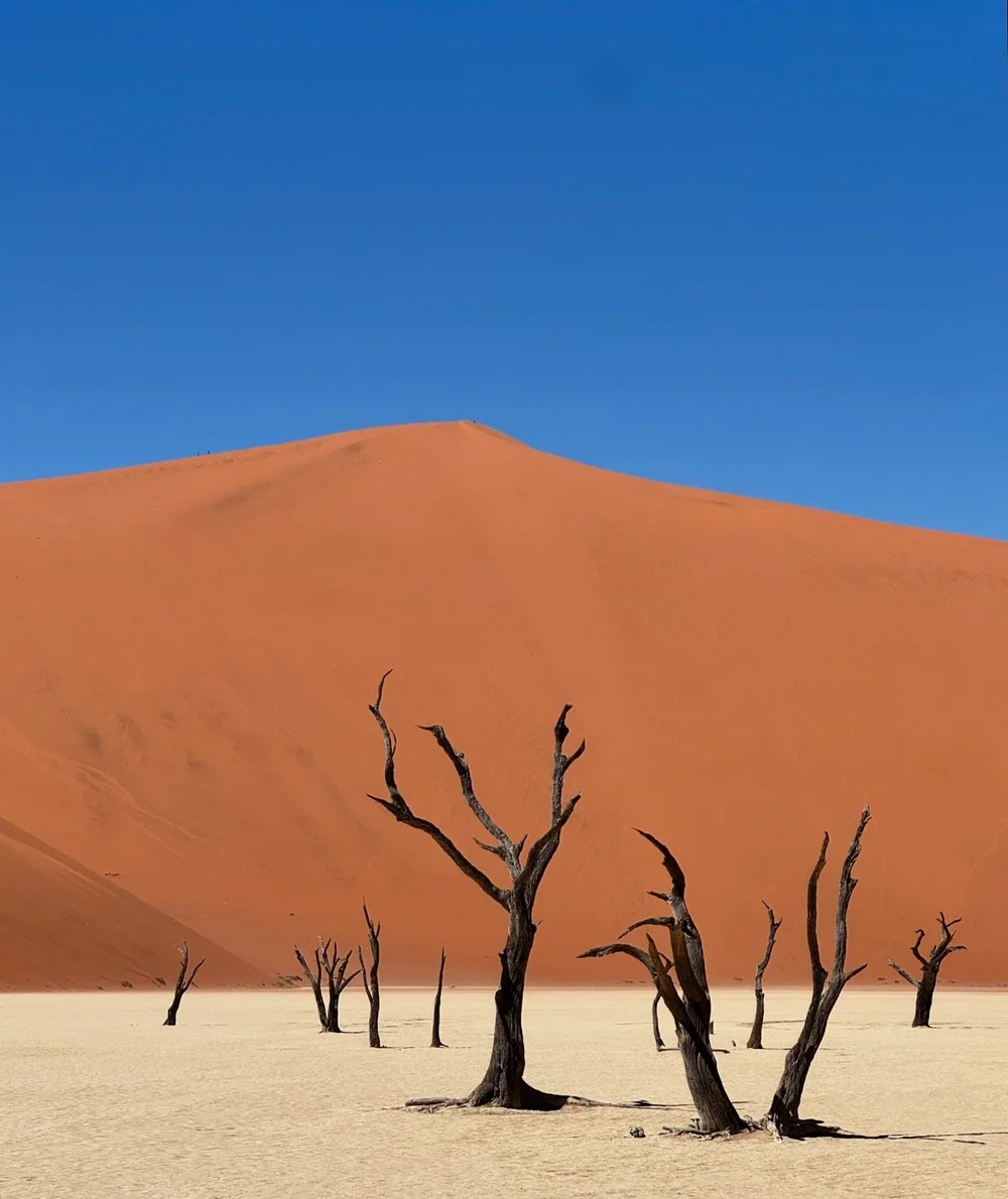Deadvlei 2.JPG
