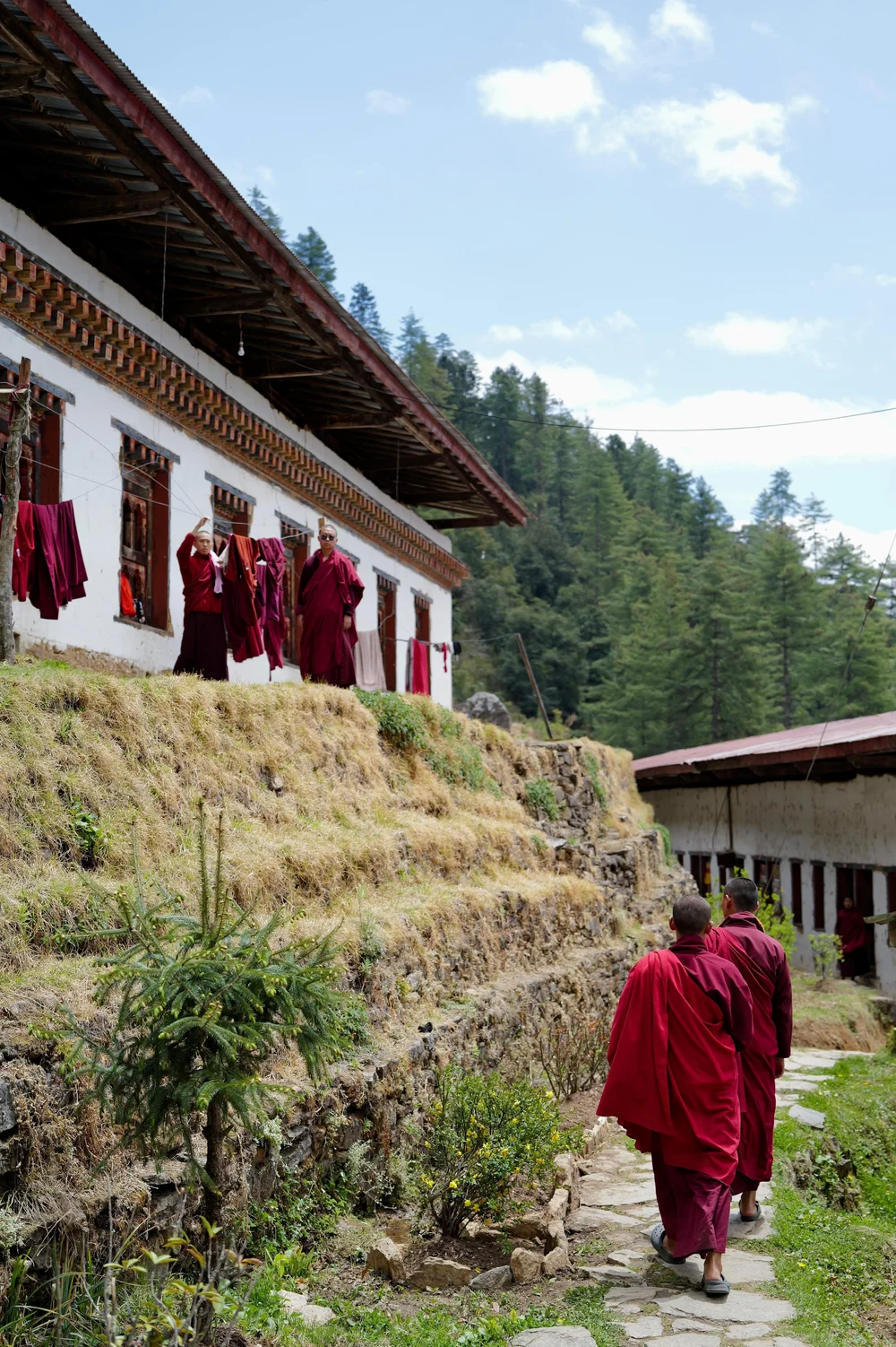 WhatsApp Image 2025-11-16 at 19.21.04.jpeg