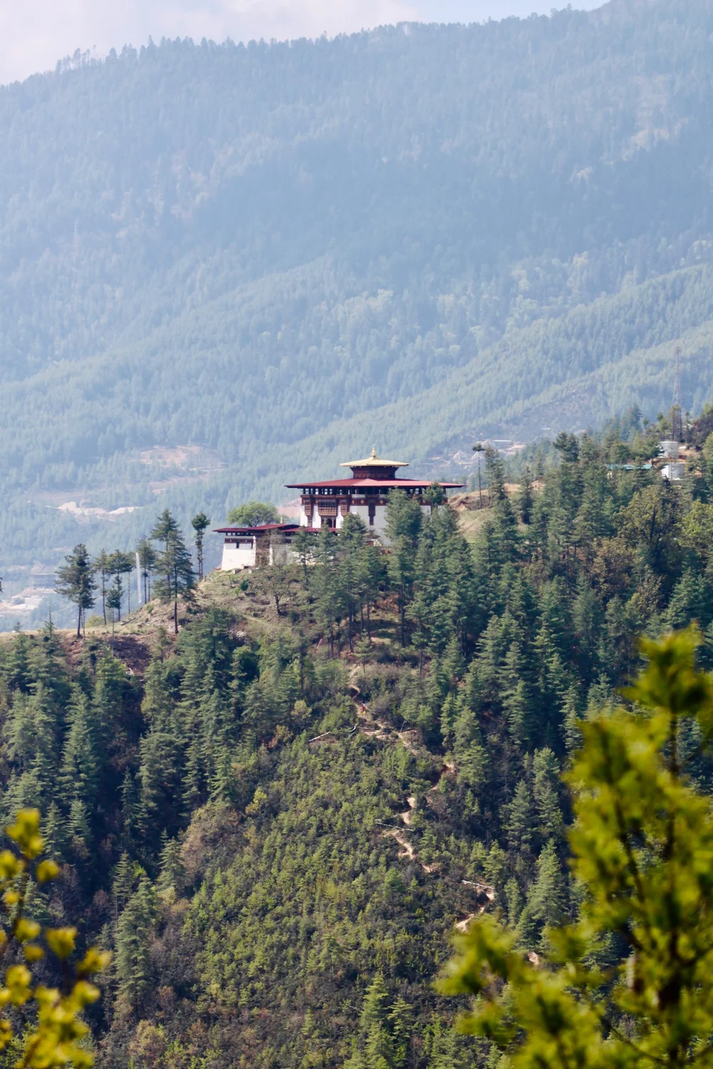 WhatsApp Image 2025-11-16 at 19.19.48.jpeg