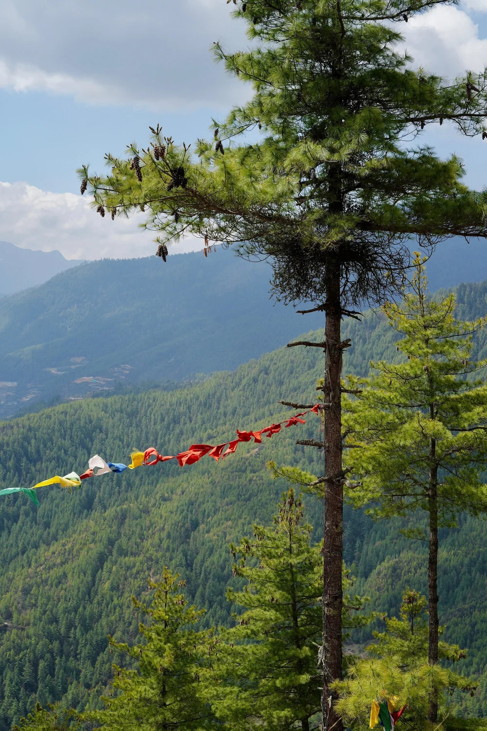 WhatsApp Image 2025-11-16 at 19.23.26.jpeg