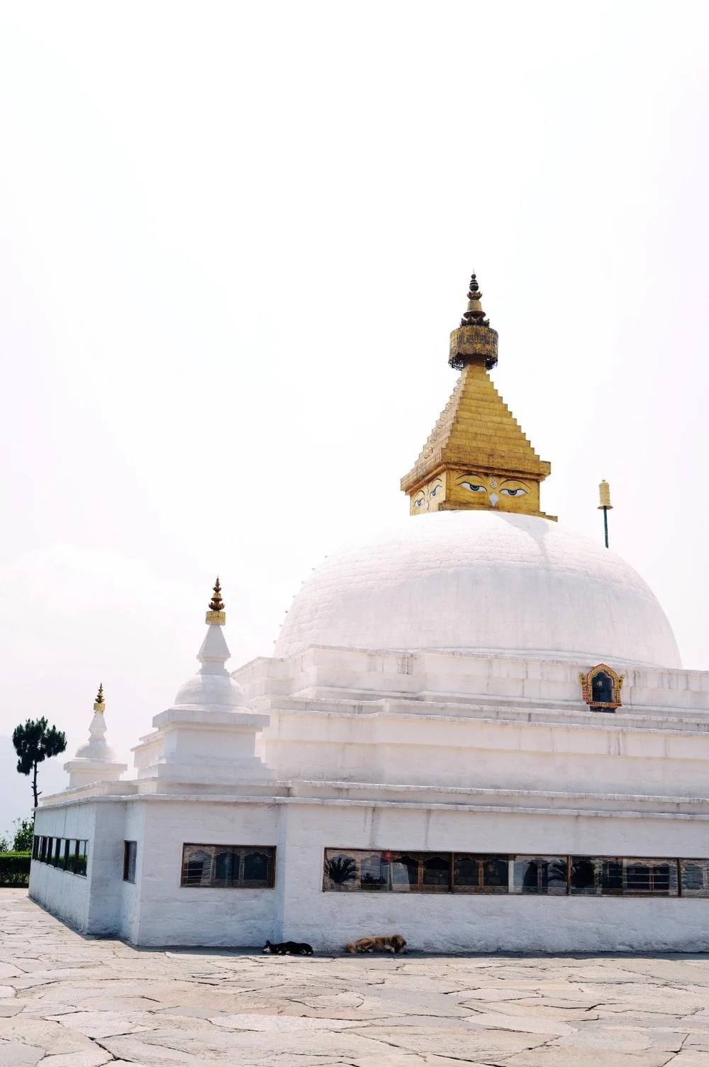 WhatsApp Image 2025-11-16 at 19.31.37 (1).jpeg