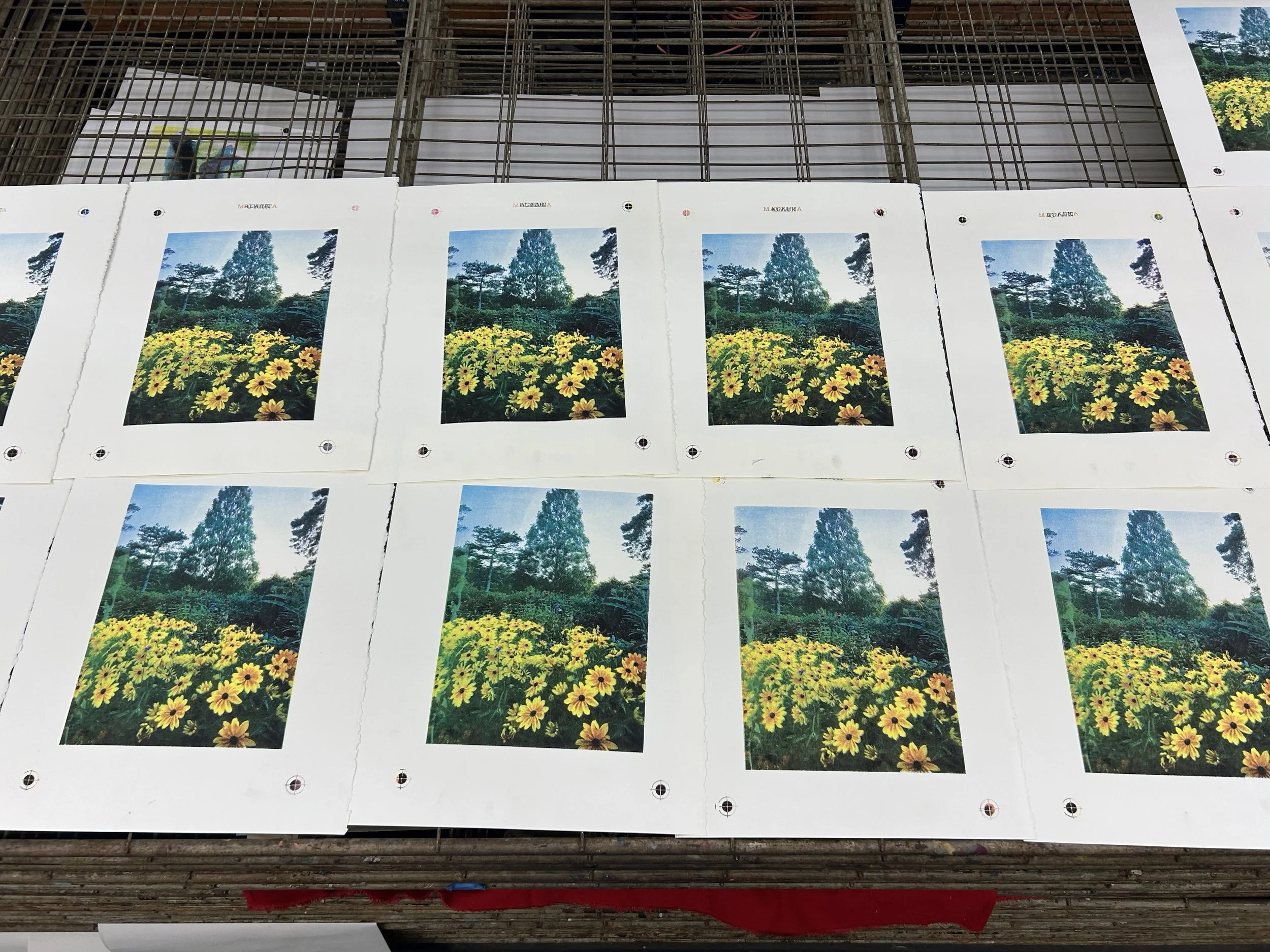 lloyd_aultpark_process_2.jpg