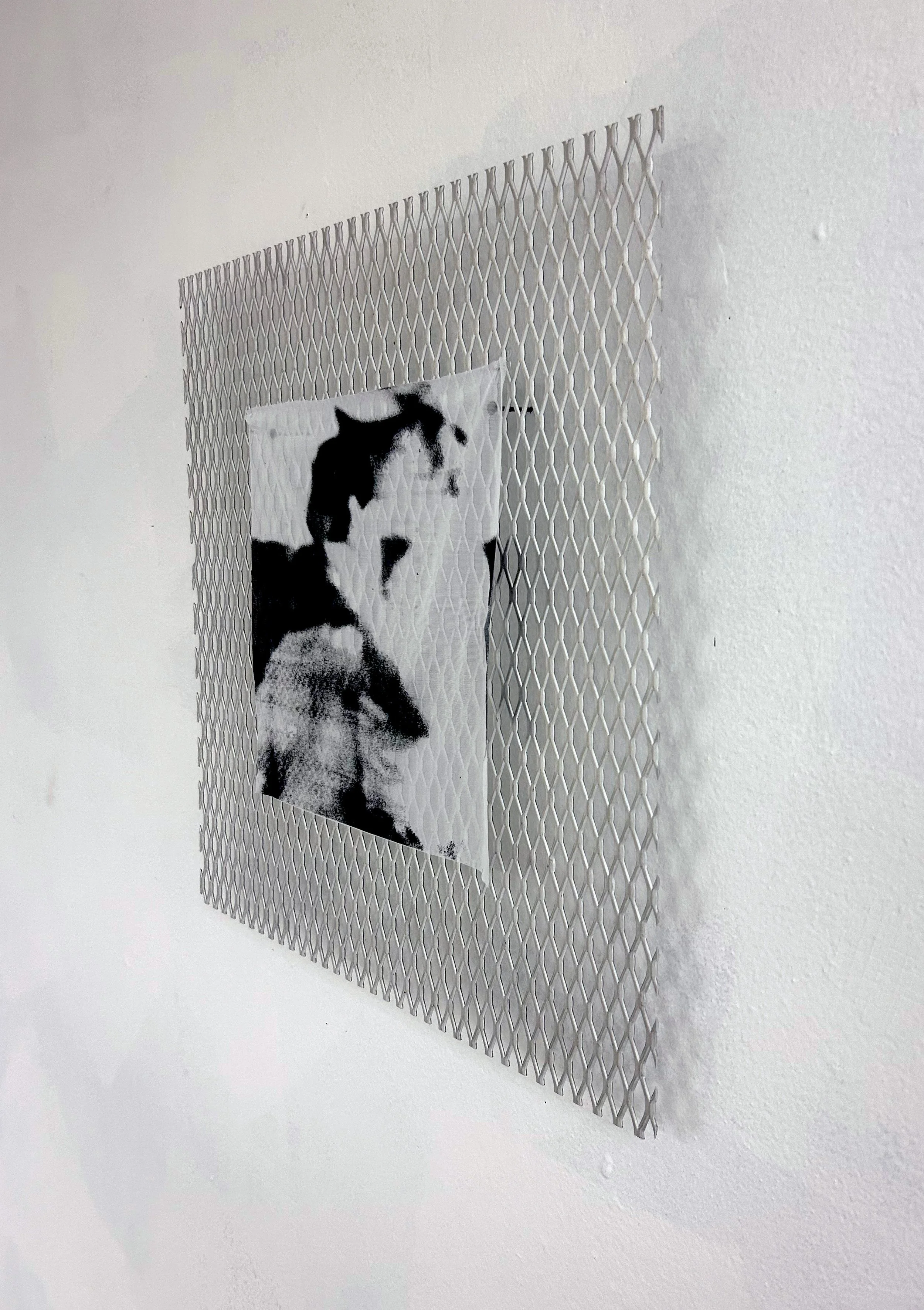 lloyd_interdisciplinary_p4_detail1.jpg