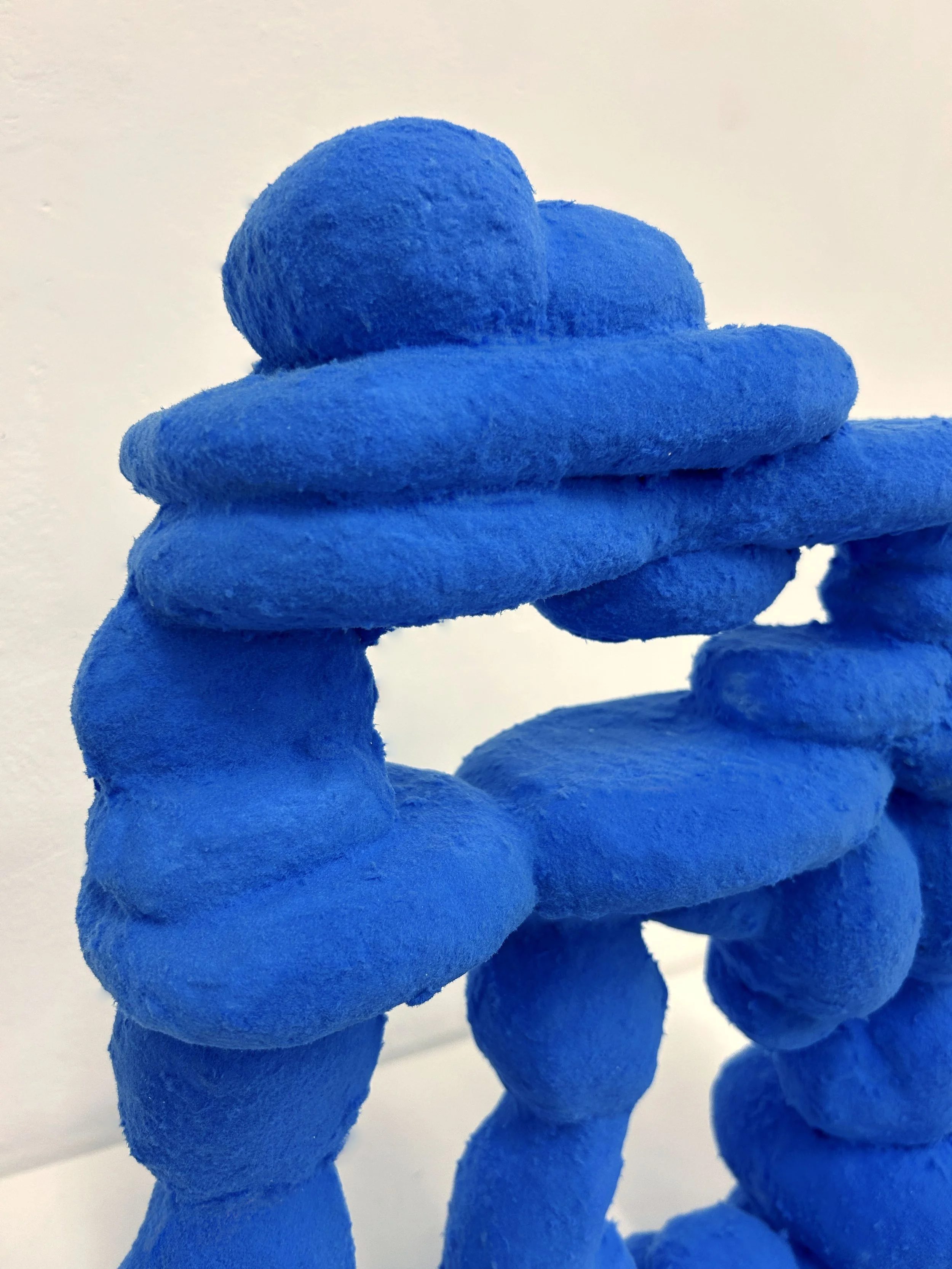dbl_blue_detail2.jpg