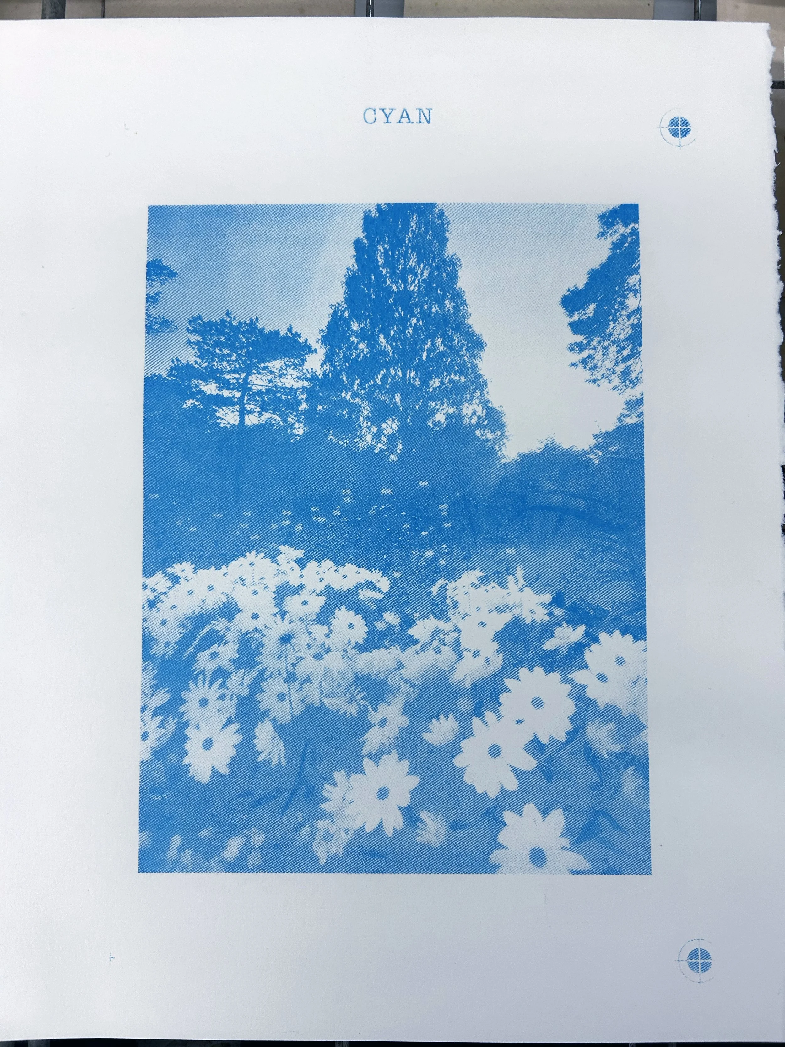lloyd_aultpark_process_cyan.jpg