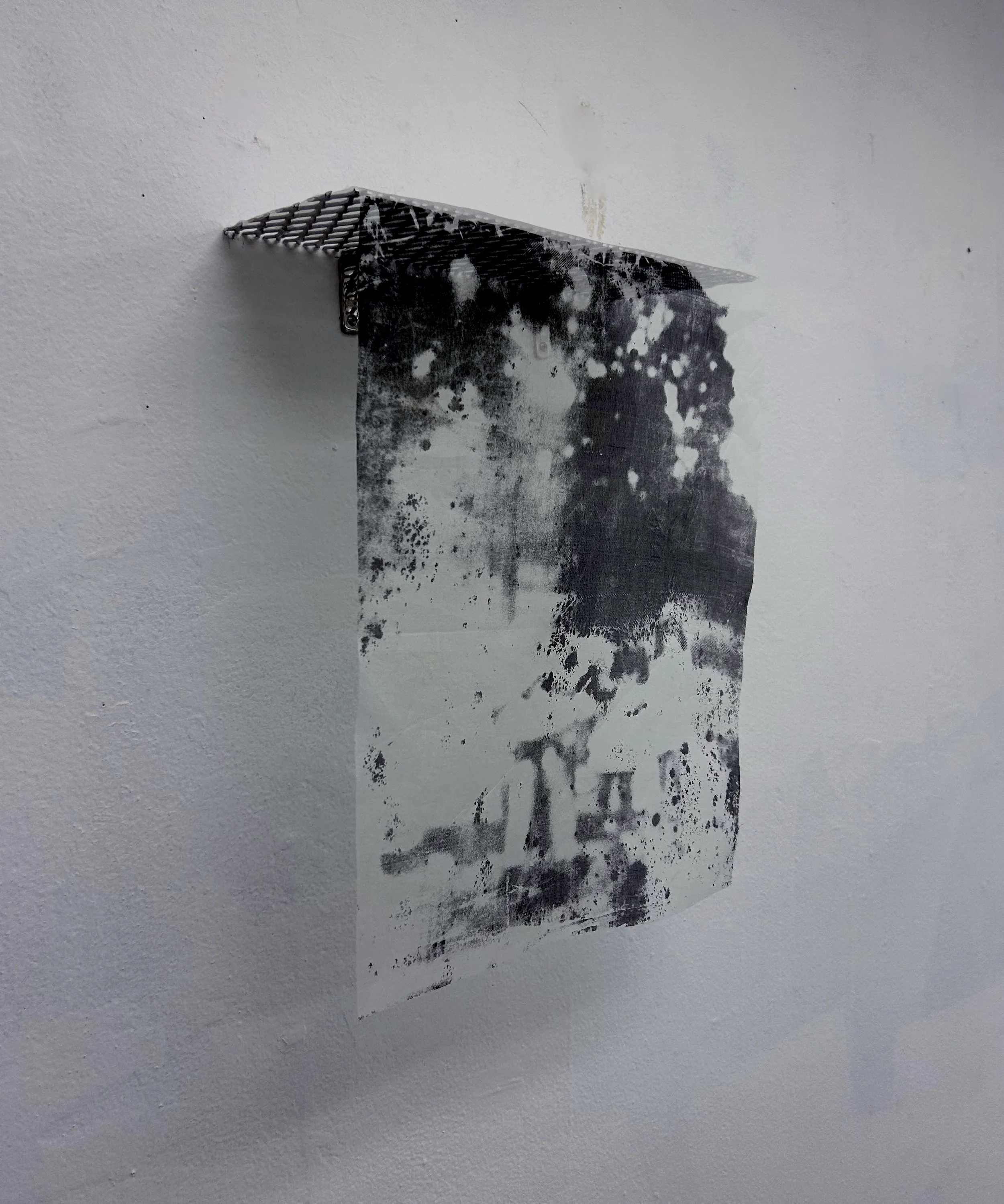 lloyd_interdisciplinary_p6_detail.jpg