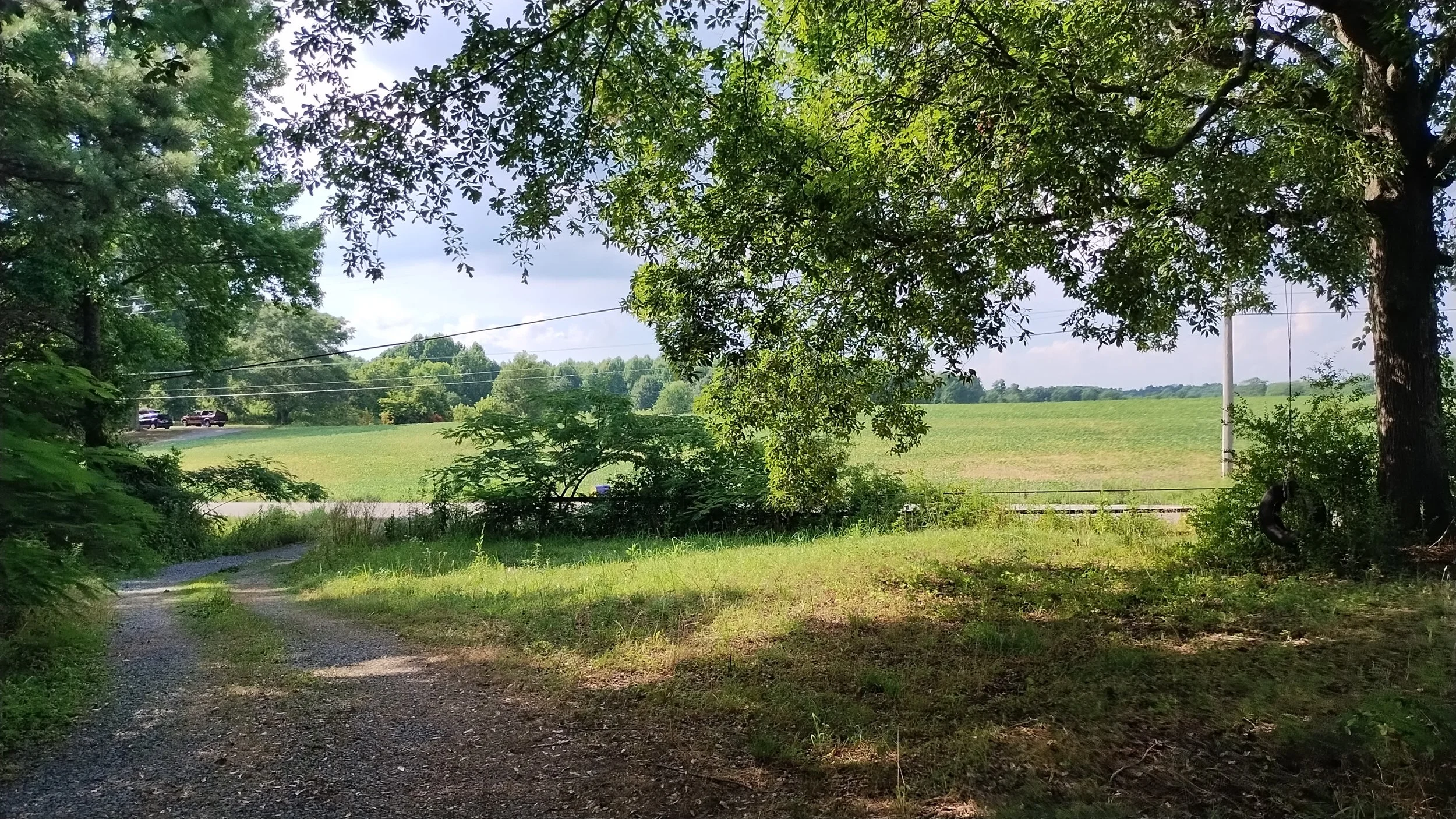 PIC_20240629_163751.jpeg