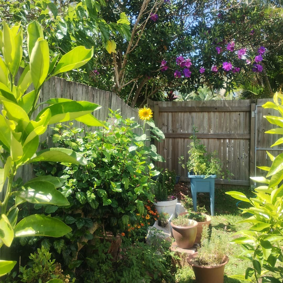 It's such a joy to watch my garden blossom and bloom! The warm weather, longer days of sunshine, adequate water and lots of soil nourishment has created the conditions to see this happen. 

These past few months I have been busy, continuing on -  mak