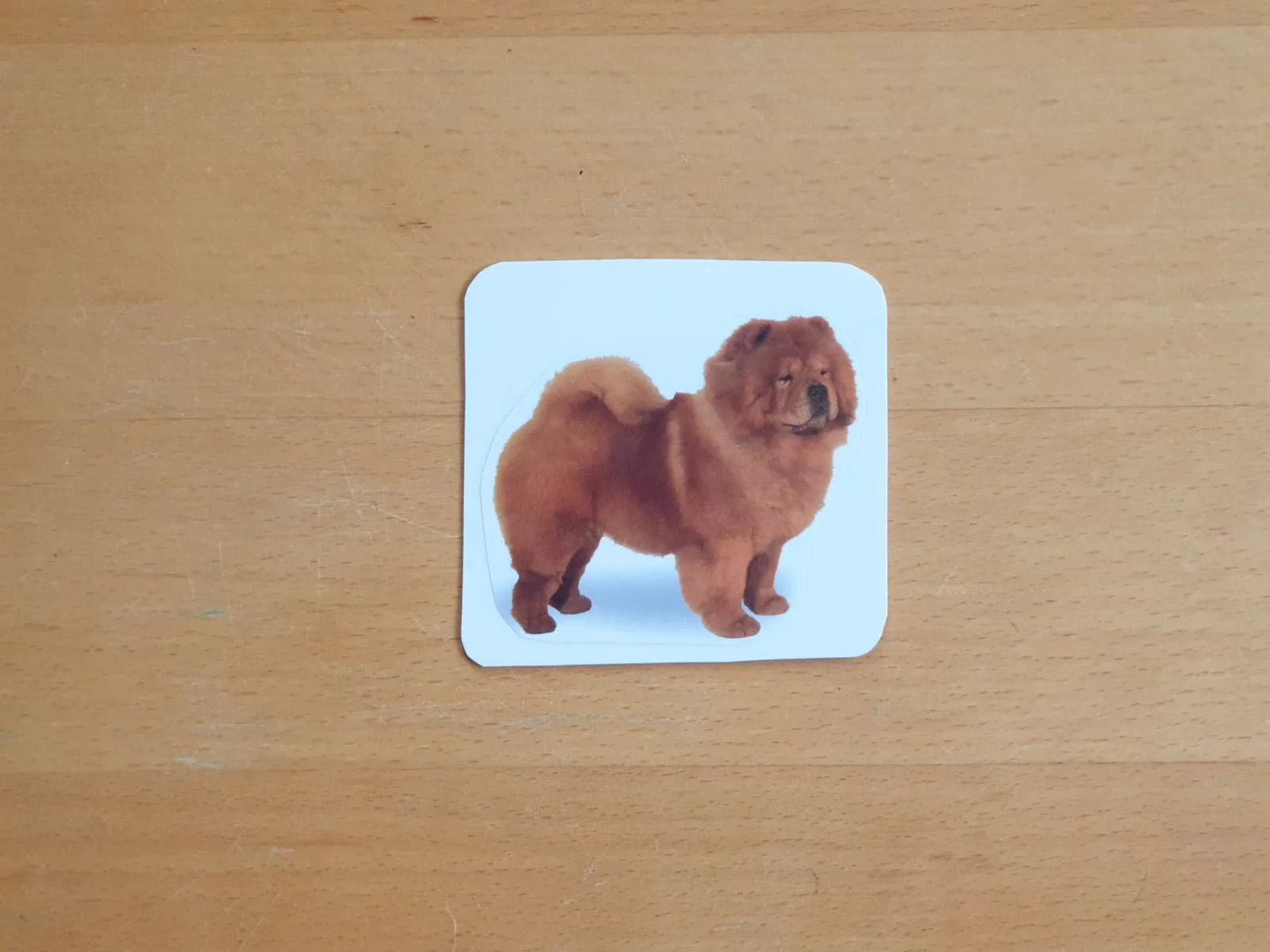 montessori academic language card at tesorini montessori toddler classroom in the noosa shire on the sunshine coast