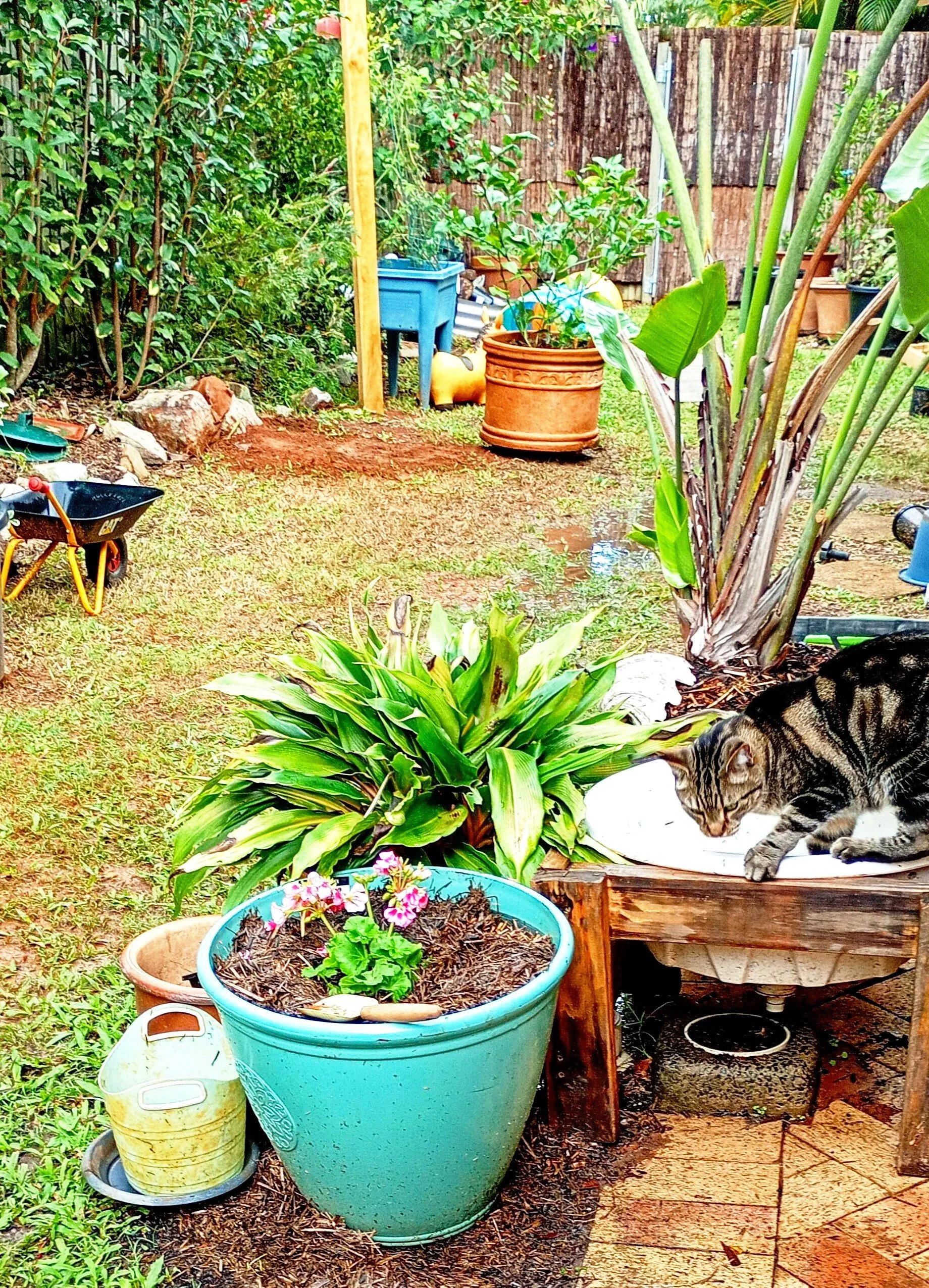 tesorini montessori nature childcare