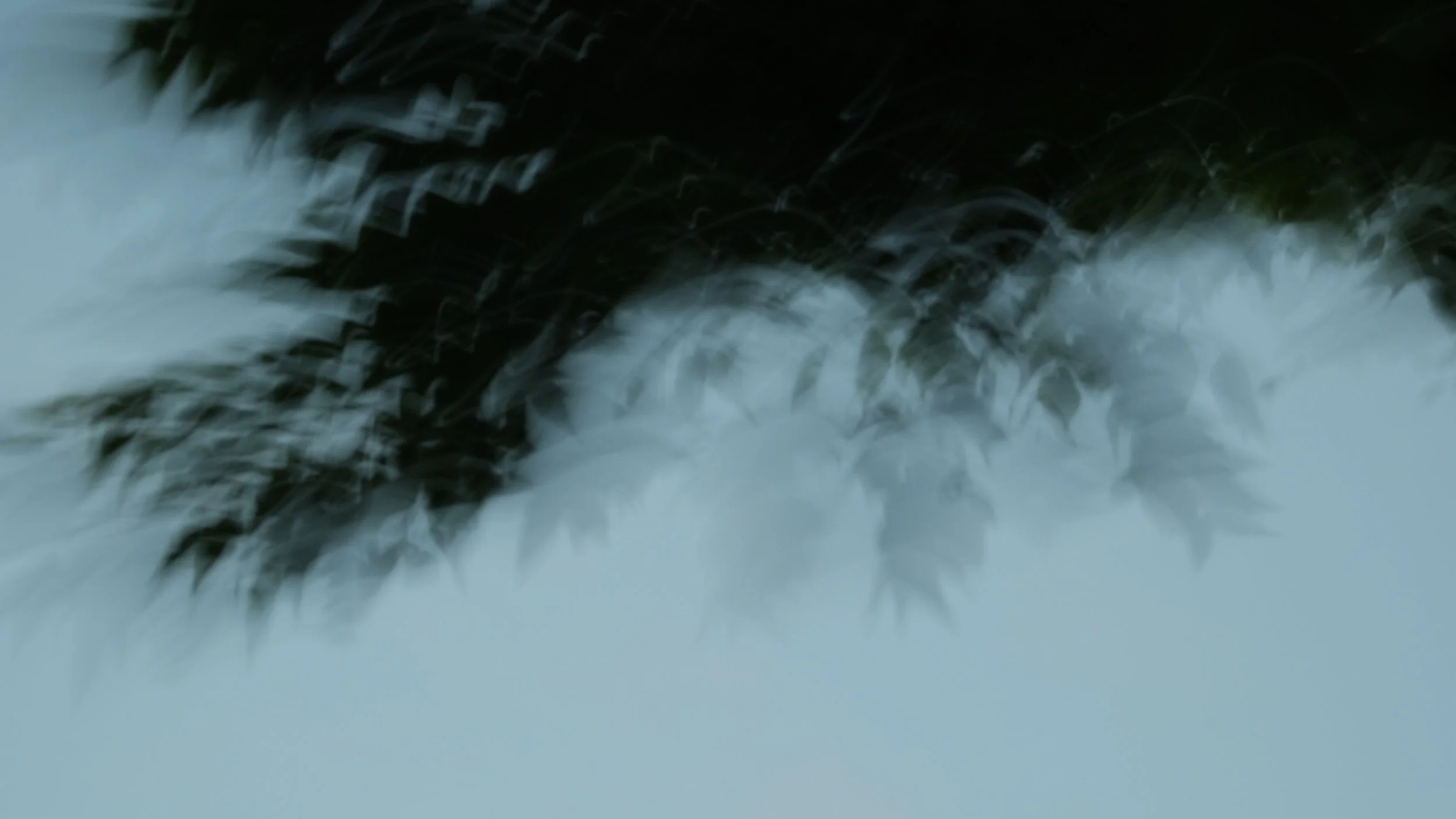 DSCF3155.jpg