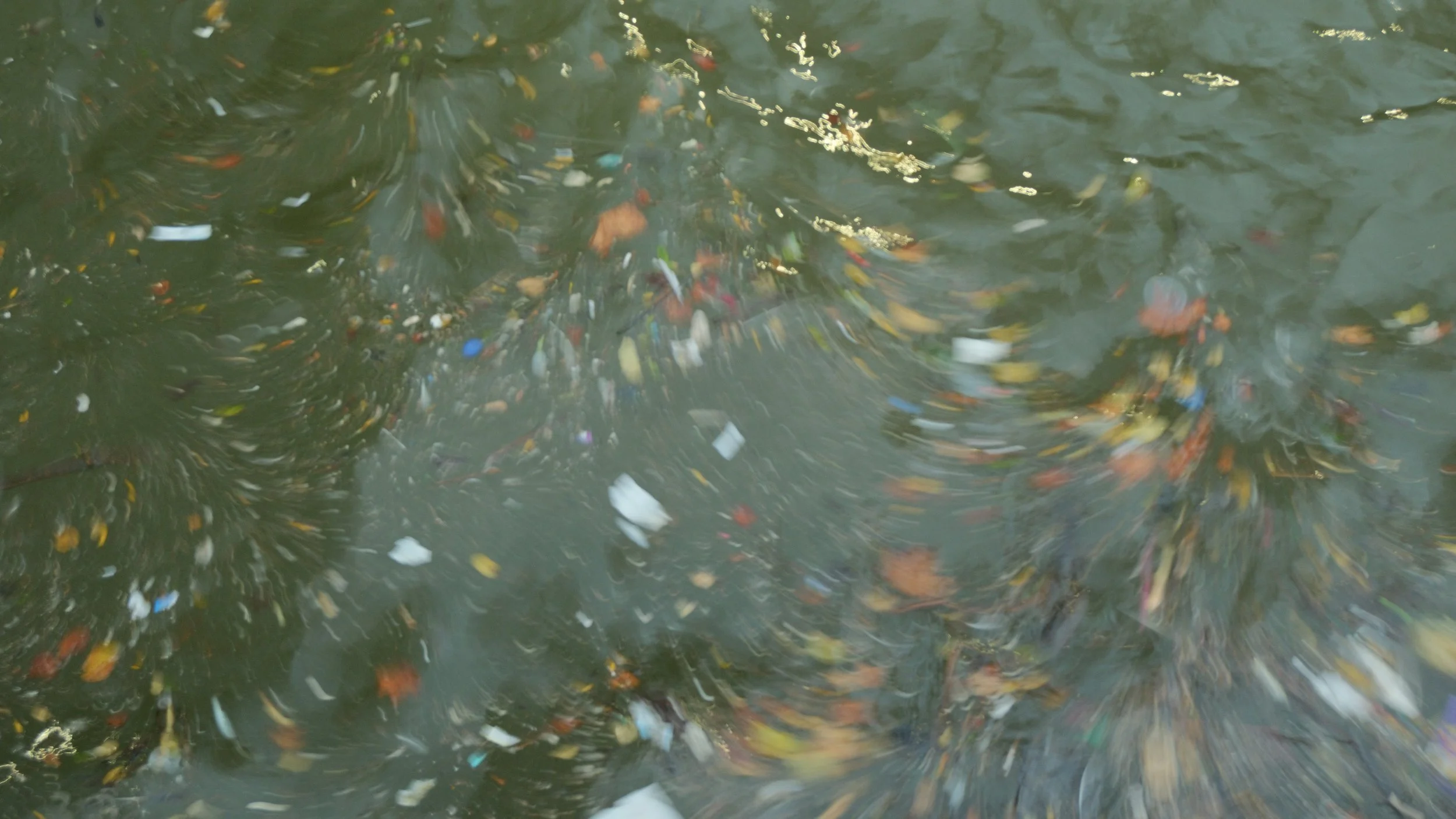 DSCF3193.jpg