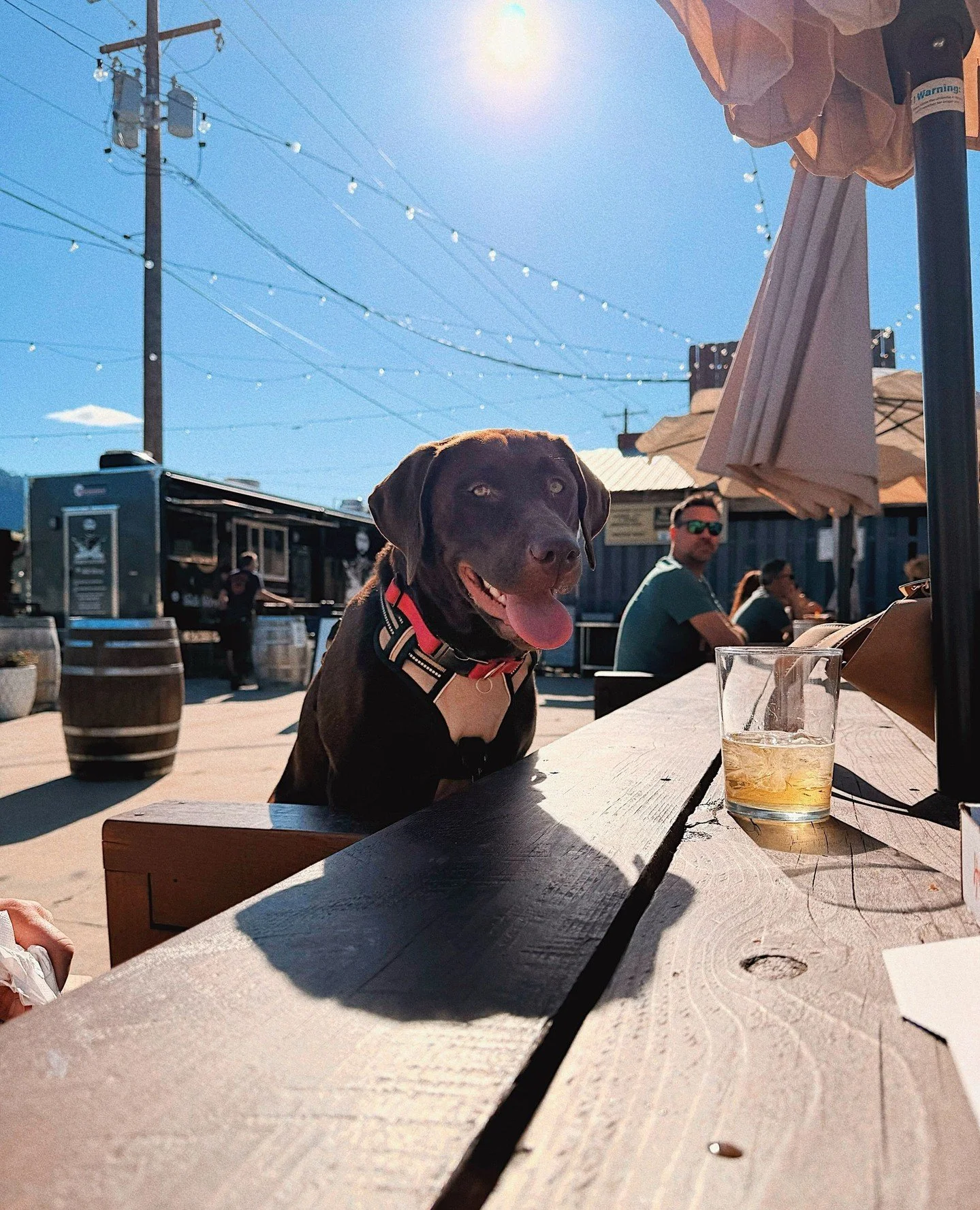 ☀️ Summer Hours Are Here at Yonder East! ☀️⁠
⁠
Longer days, warmer nights, and more time for cider on the patio. Starting this weekend, here&rsquo;s when you can find us:⁠
⁠
Monday: Closed⁠
Tuesday &ndash; Thursday: 3:00 PM &ndash; 9:00 PM⁠
Friday &n