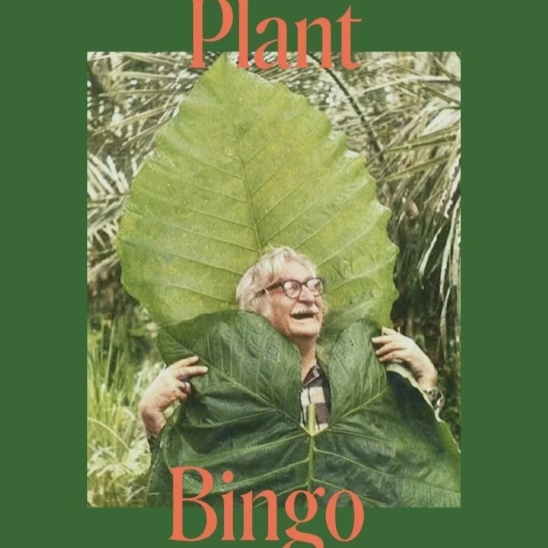 Plant Bingo