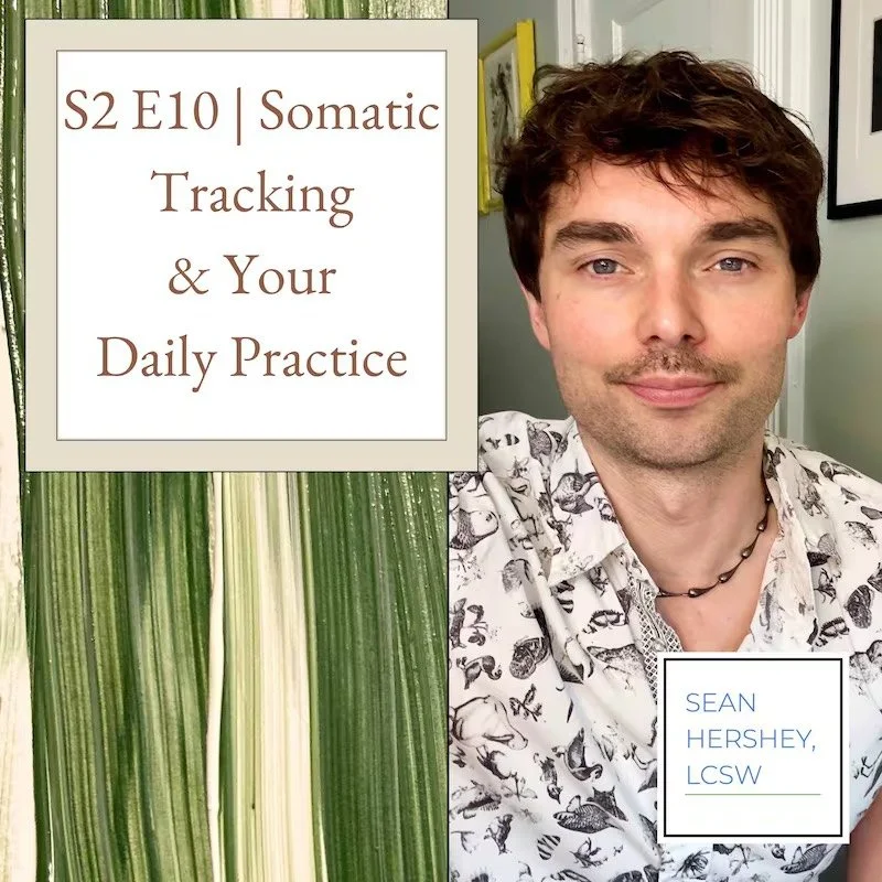 Somatic Tracking &amp; Your Daily Practice