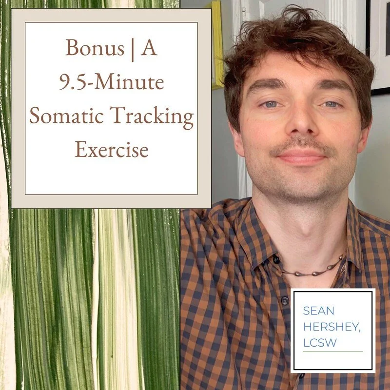 A 9.5-Minute Somatic Tracking Exercise