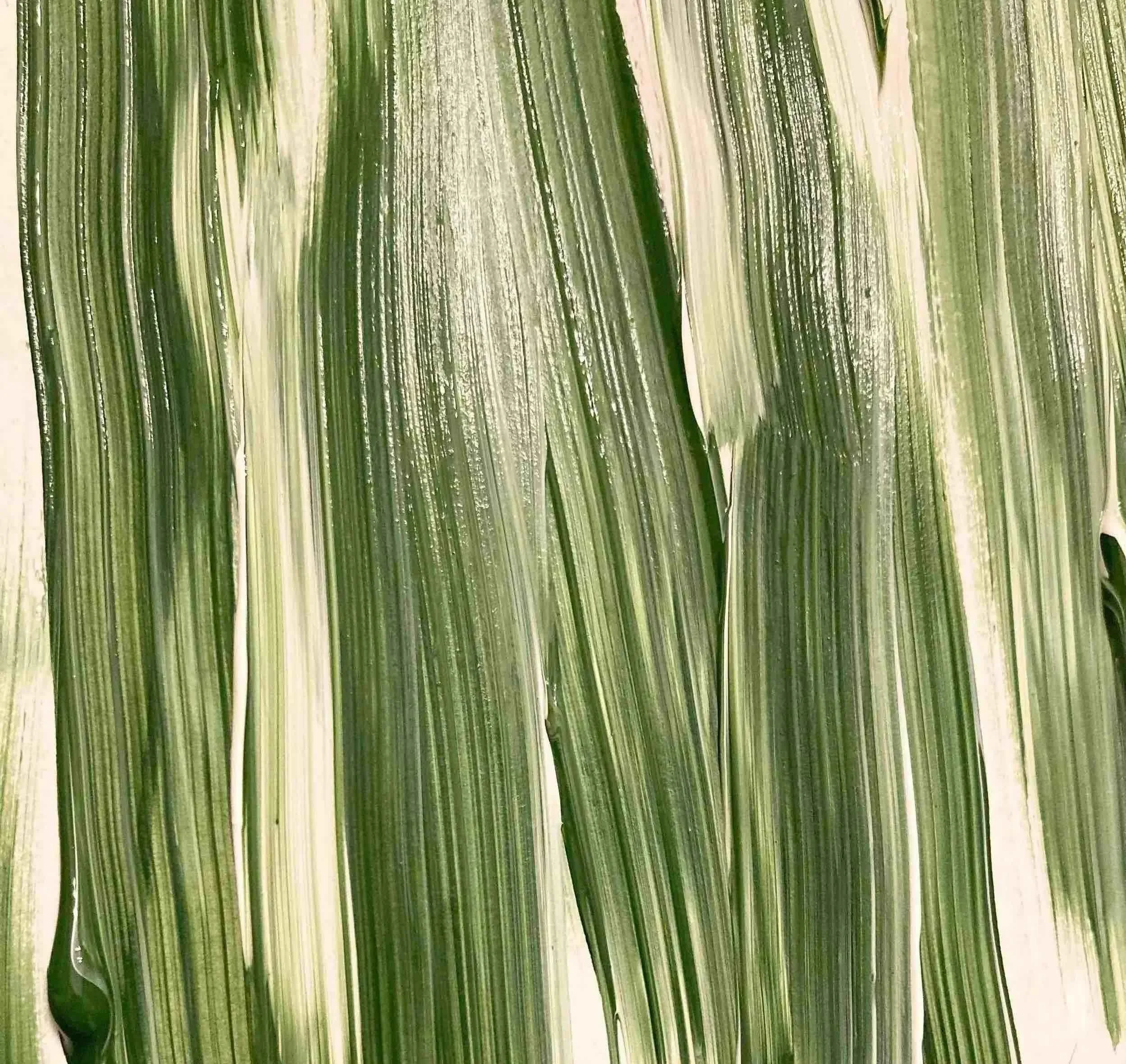 Sean Hershey LCSW Mindbody Medicine for Chronic Pain